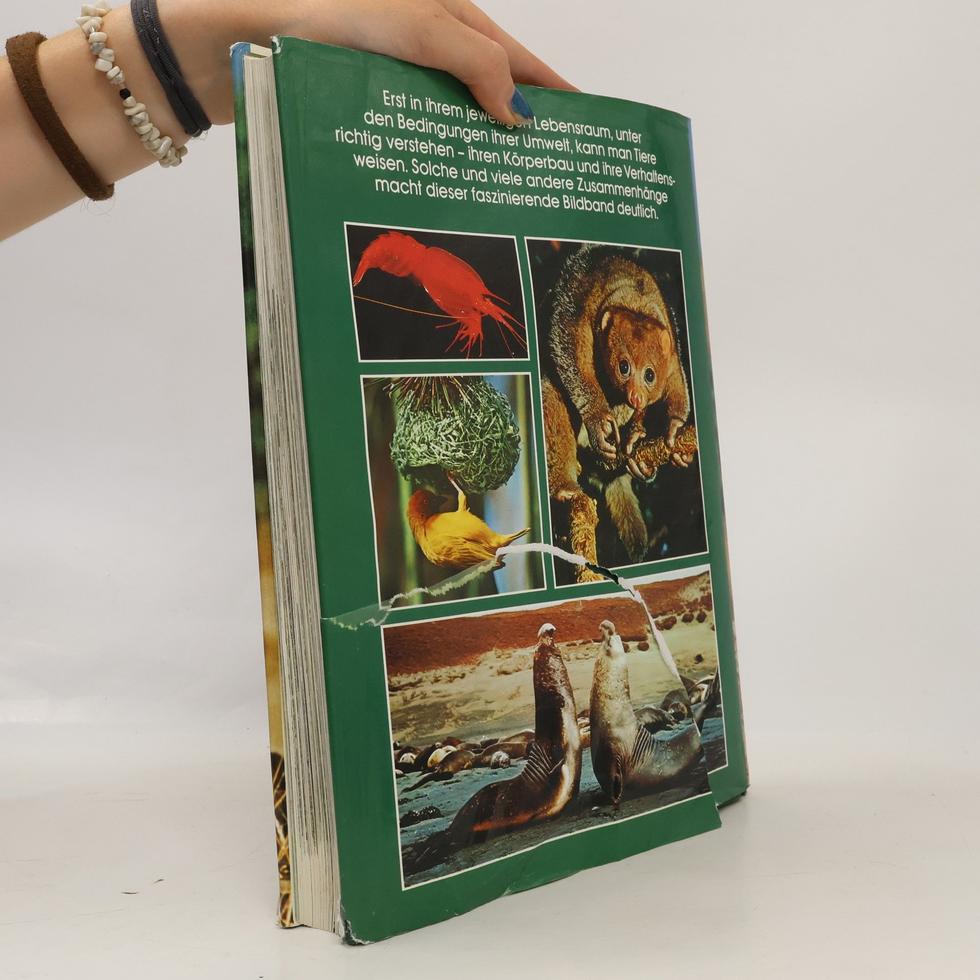 A. Blair-Rains Bildatlas der Tierwelt