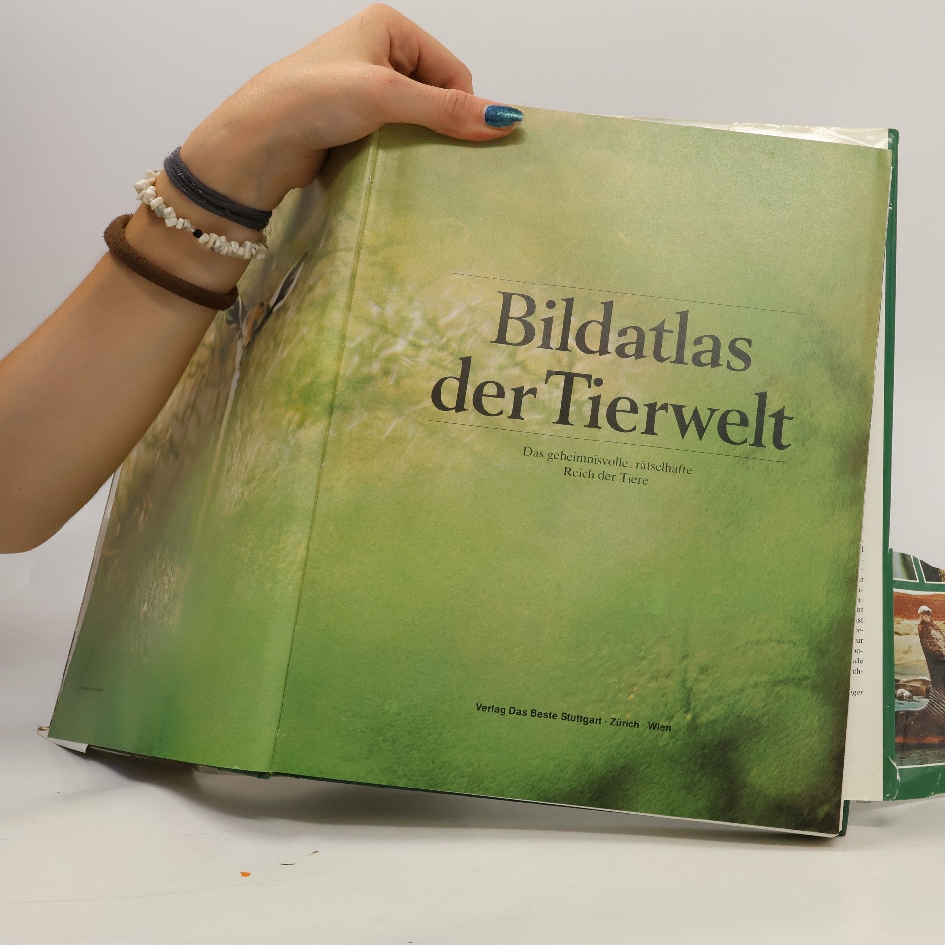 A. Blair-Rains Bildatlas der Tierwelt