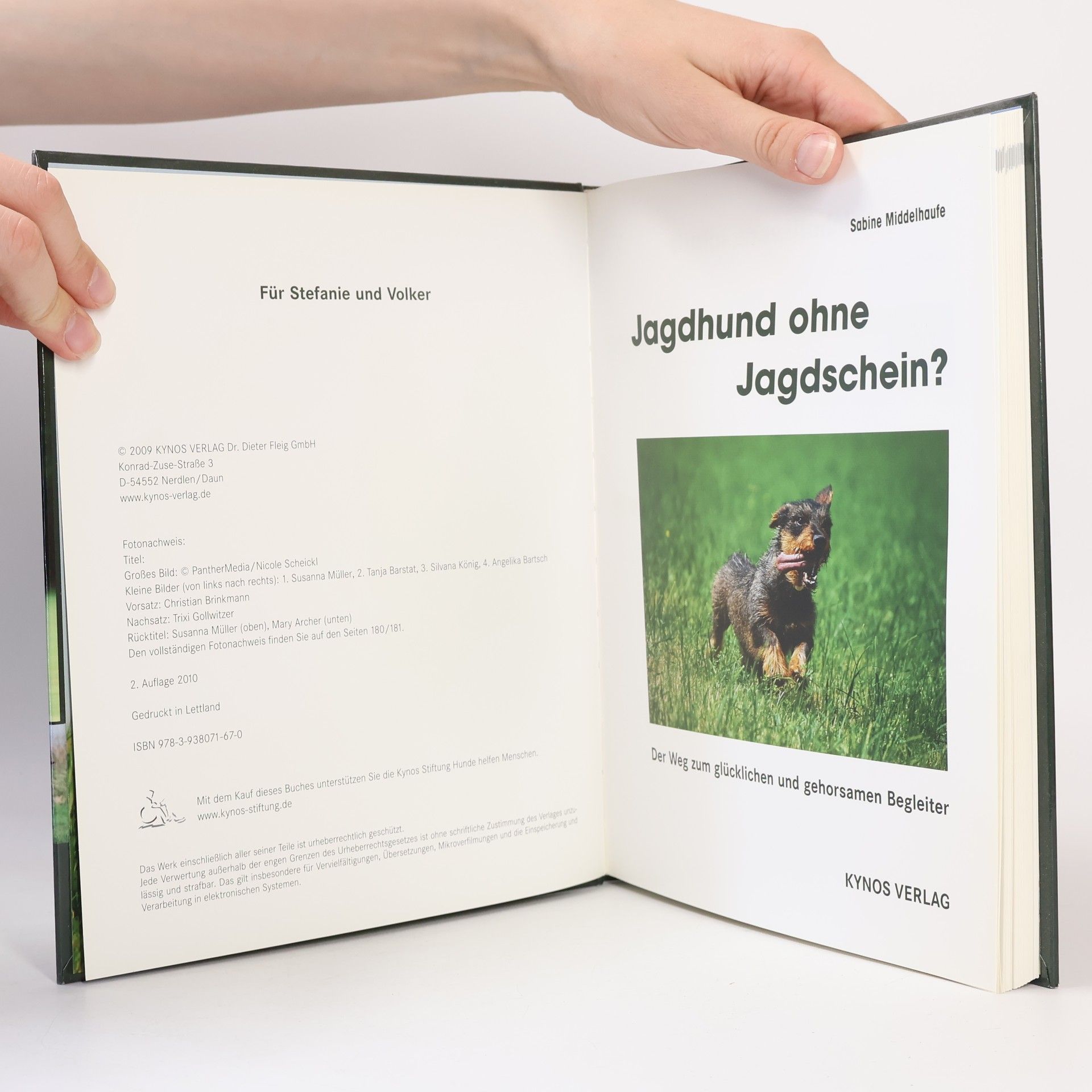 Sabine Middelhaufe Das besondere Hundebuch: Jagdhund ohne Jagdschein?