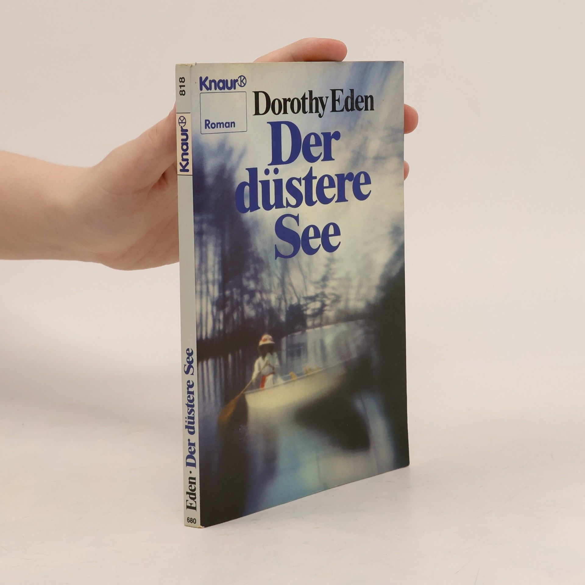 Der düstere See