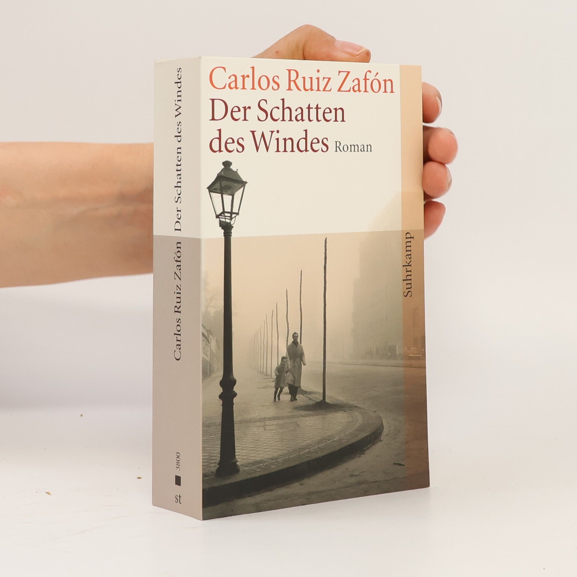 Carlos Ruiz Zafón Der Schatten des Windes
