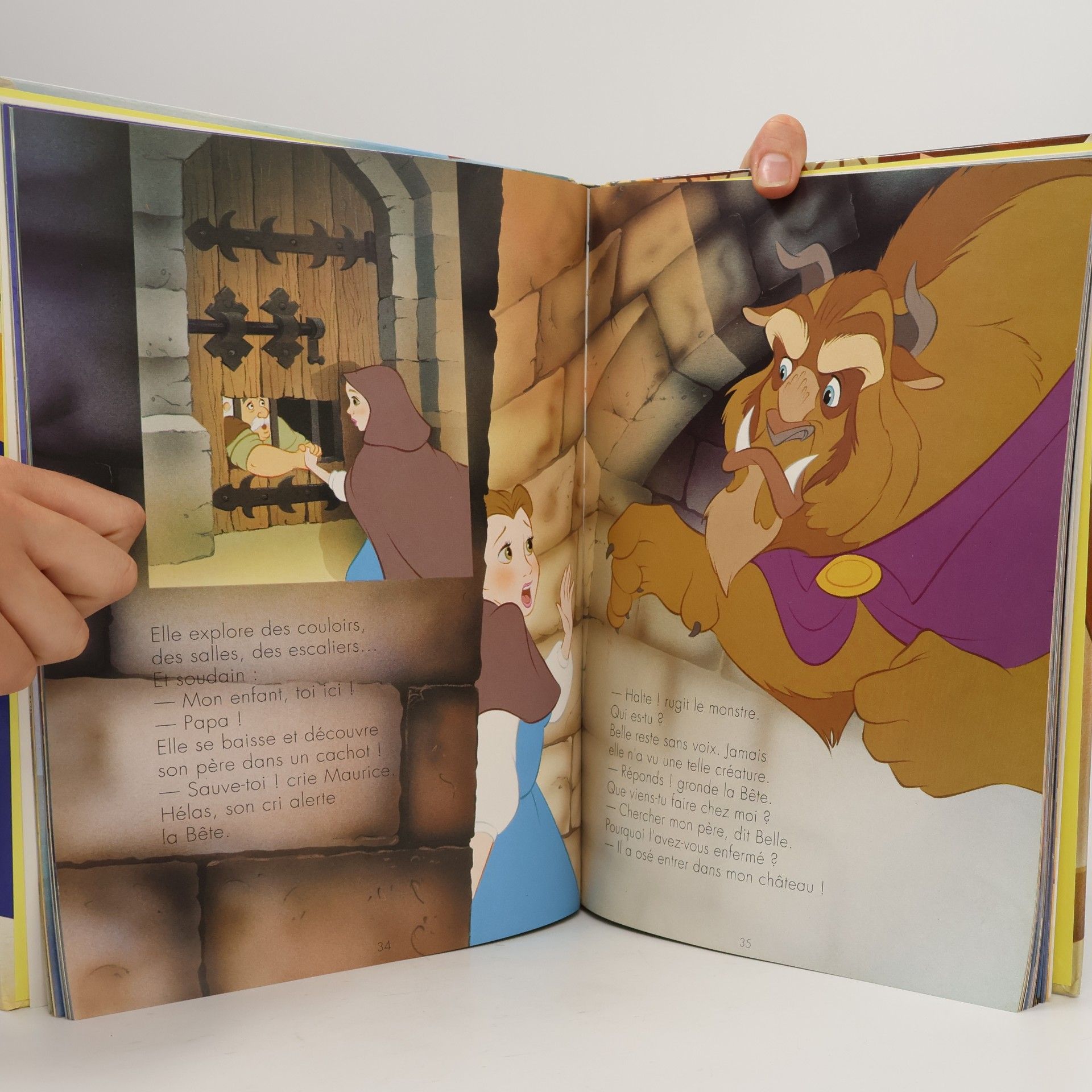 Michel Maniere Walt Disney: La Belle et la Bête