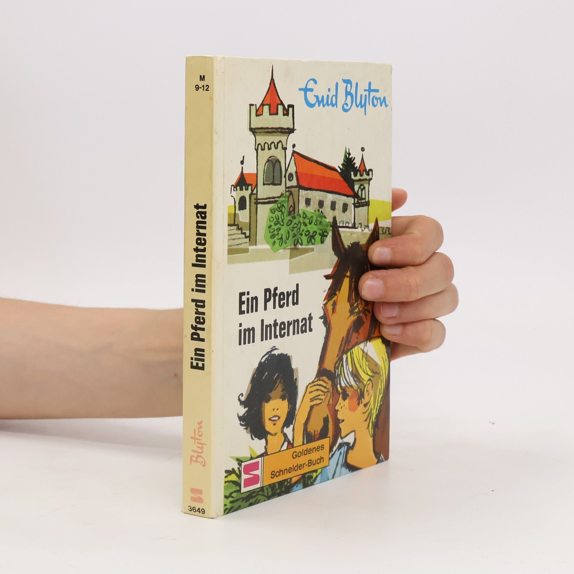 Enid Blyton Dolly Ein Pferd Im Internat