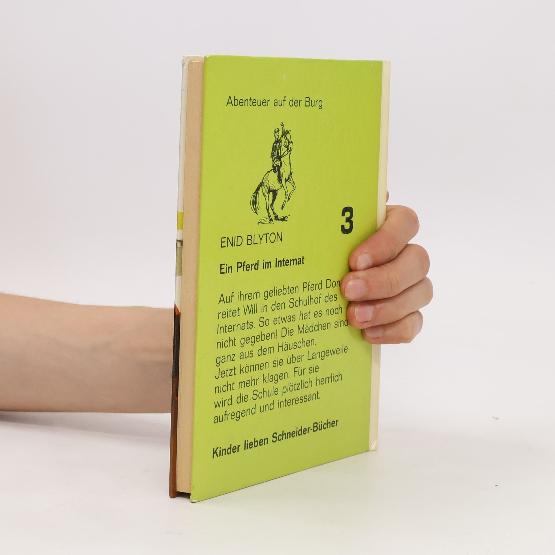 Enid Blyton Dolly Ein Pferd Im Internat