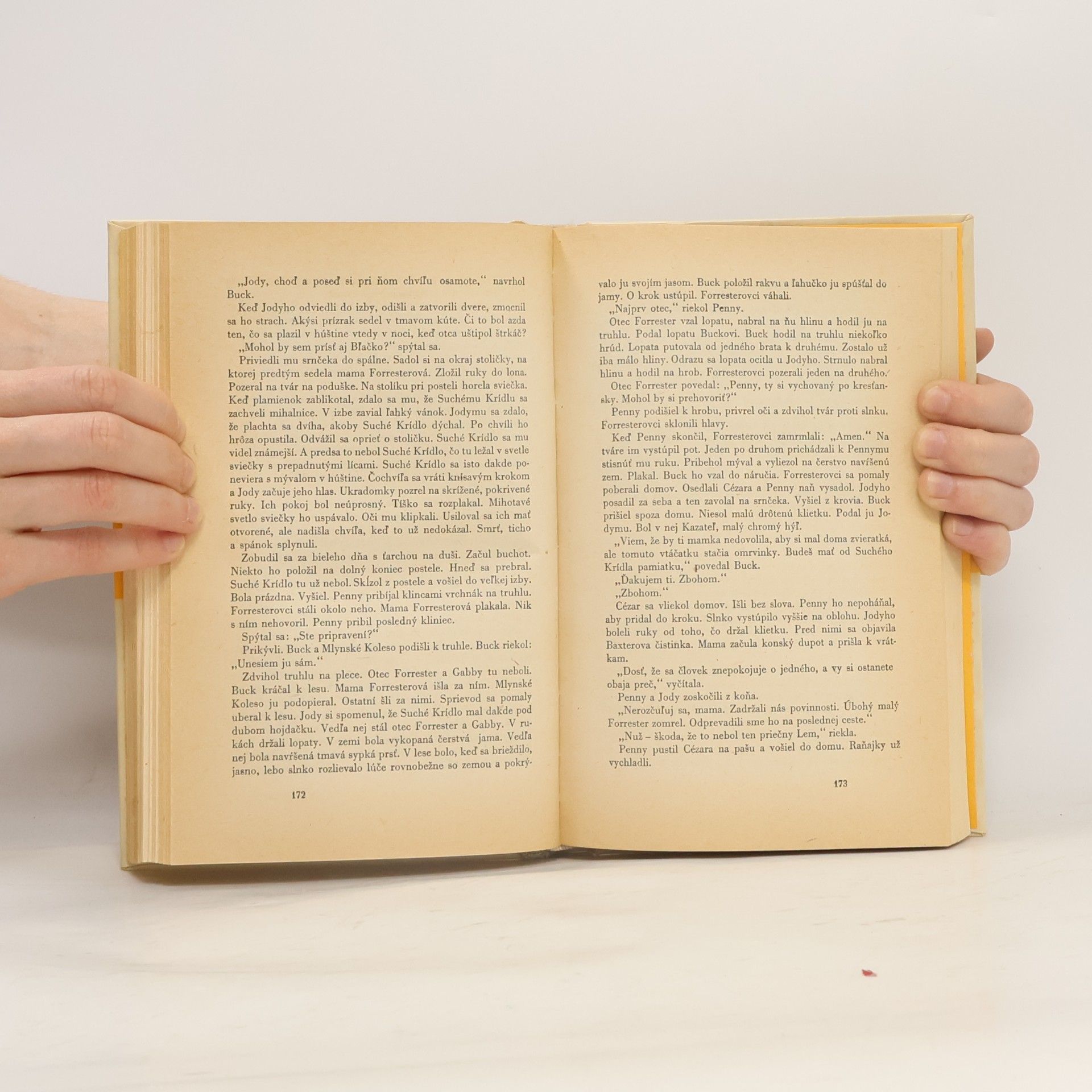 Marjorie Kinnan Rawlings Dieťa divočiny