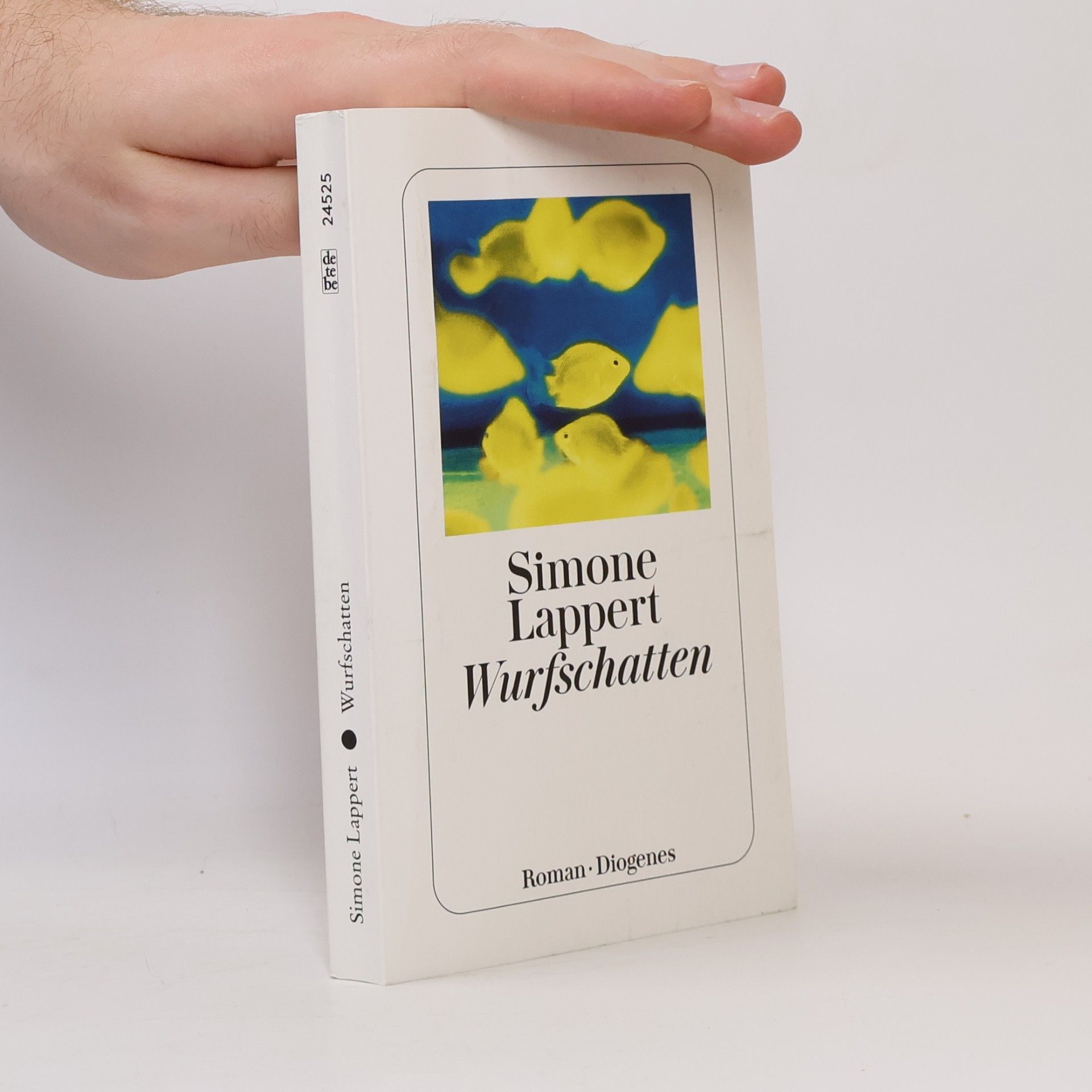 Simone Lappert Wurfschatten