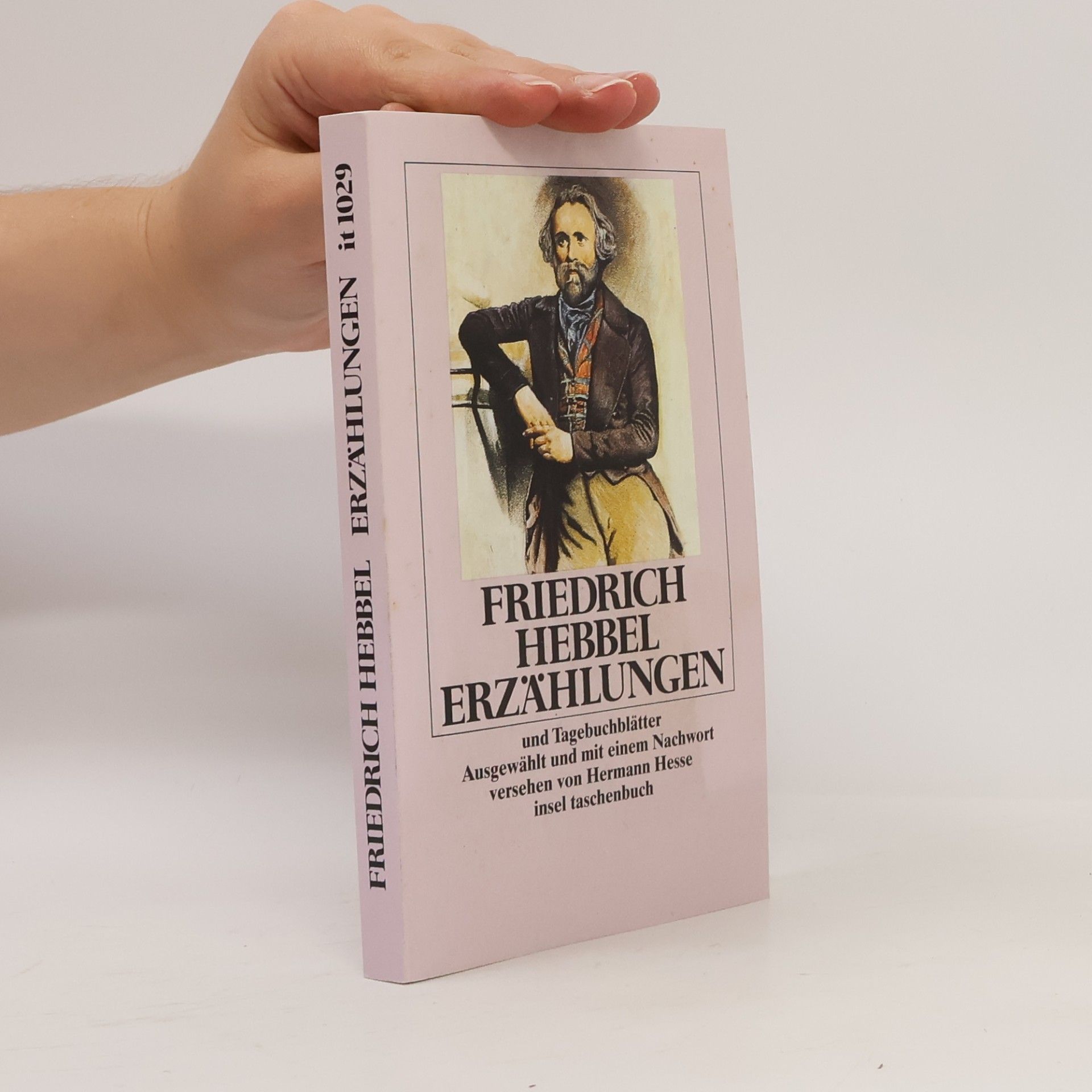 Friedrich Hebbel Insel Taschenbuch - 1029: Erzählungen und Tagebuchblätter