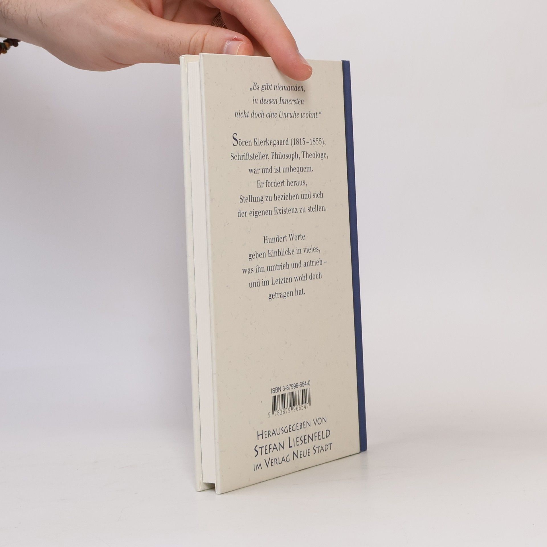 Søren Kierkegaard Jenseits der Angst