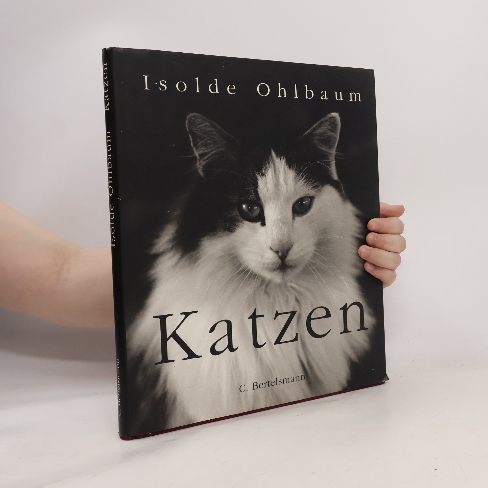 Isolde Ohlbaum Katzen