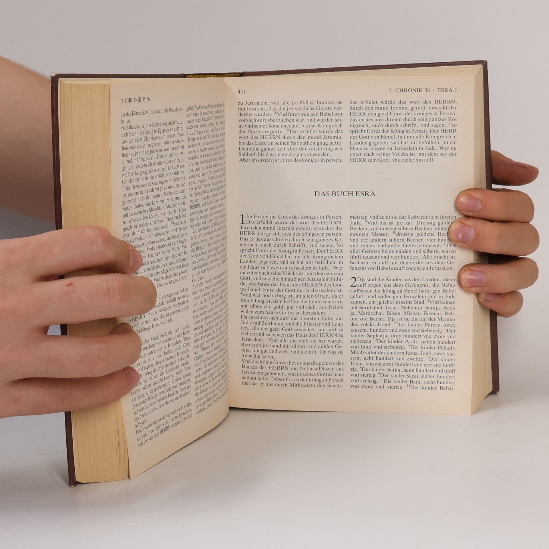 Autorenkollektiv Die Merian Bibel in Farbe