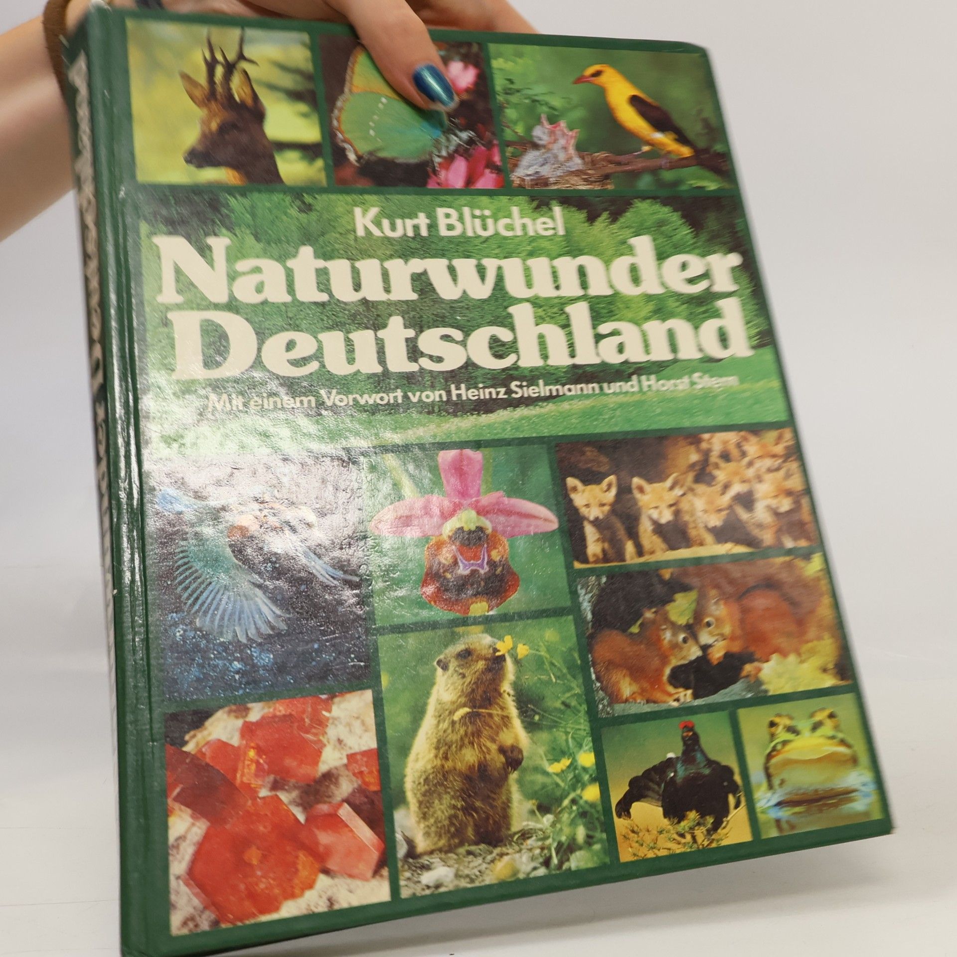Kurt Blüchel Naturwunder Deutschland