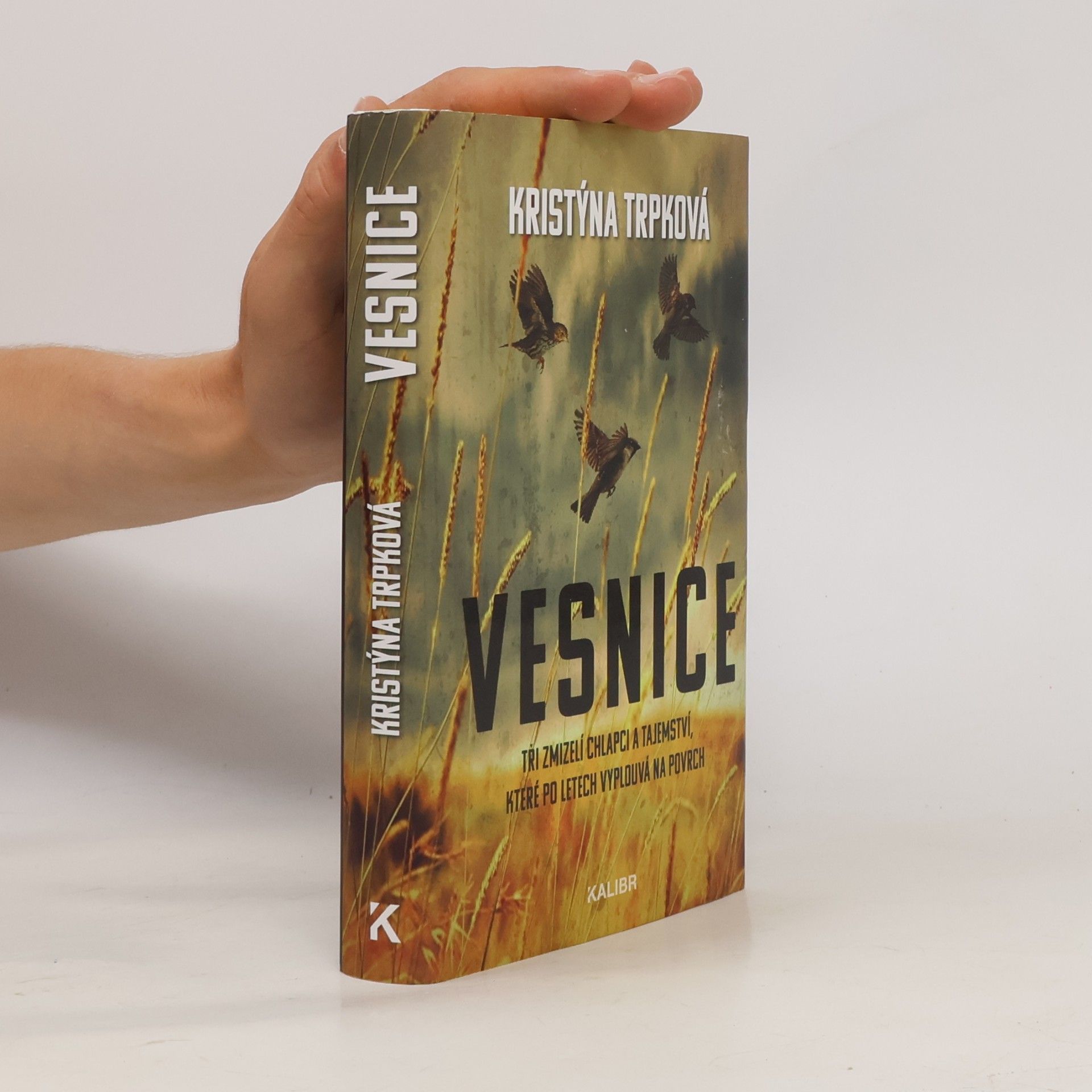 Vesnice
