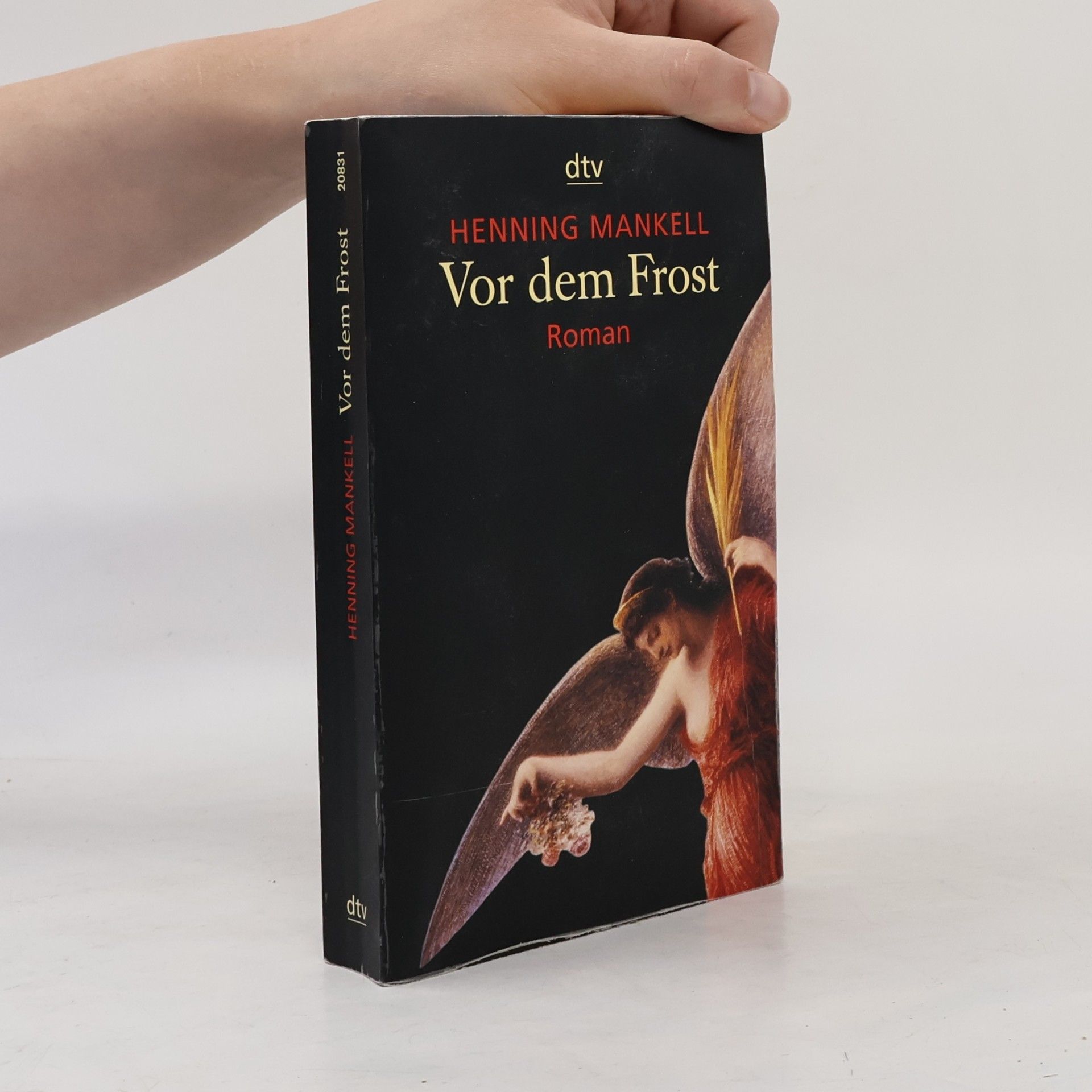 Henning Mankell Vor dem Frost