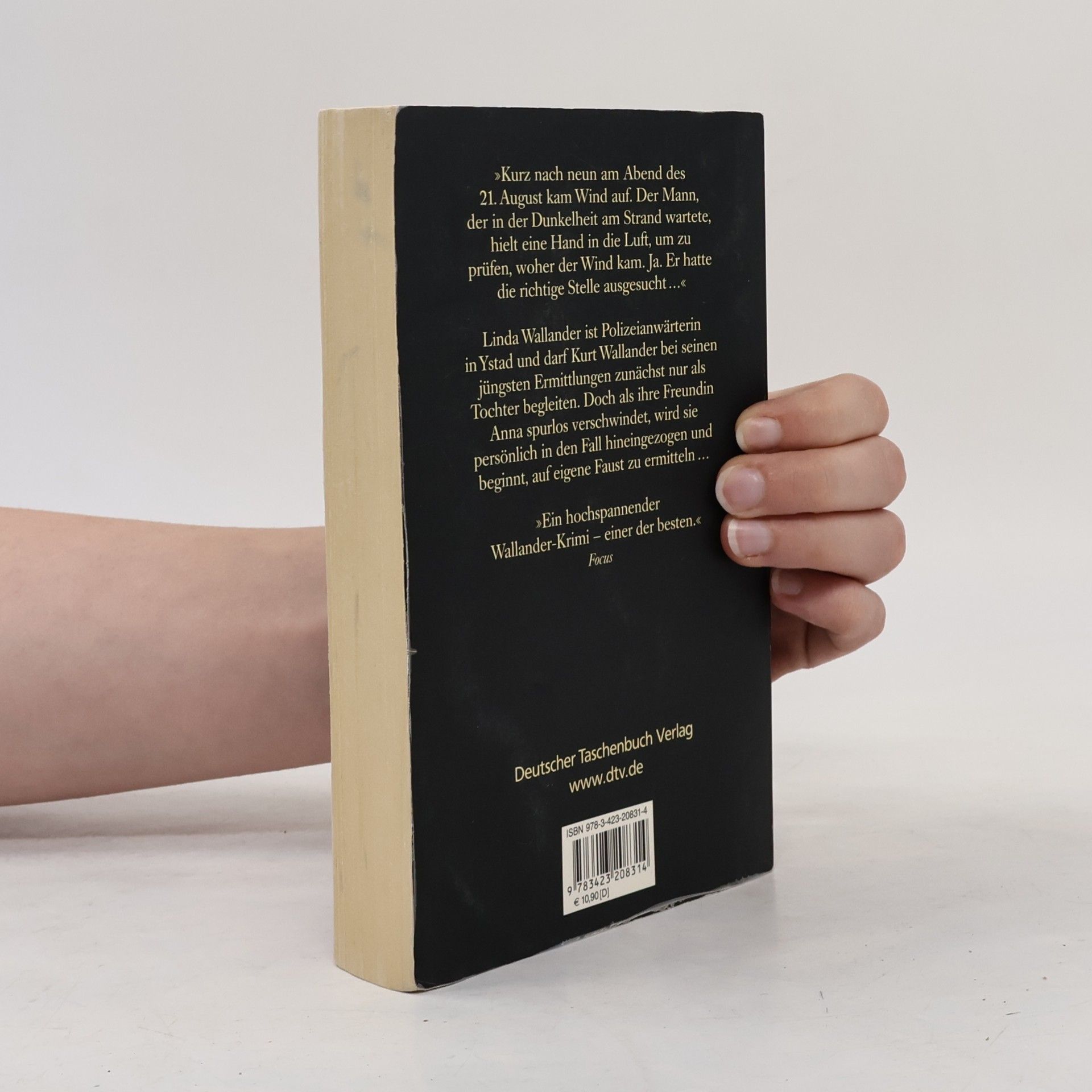 Henning Mankell Vor dem Frost