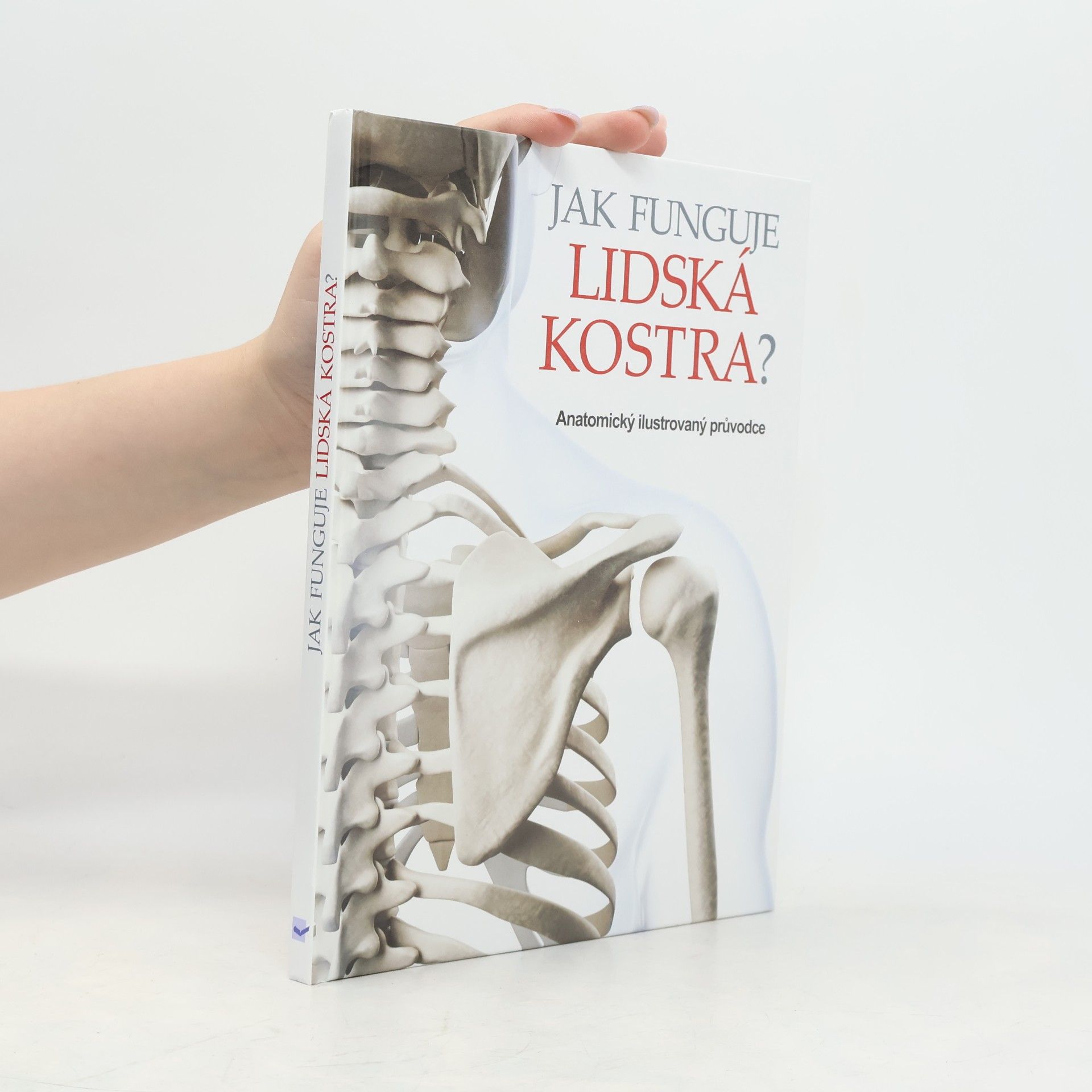 Abrahams Peter Jak funguje lidská kostra?