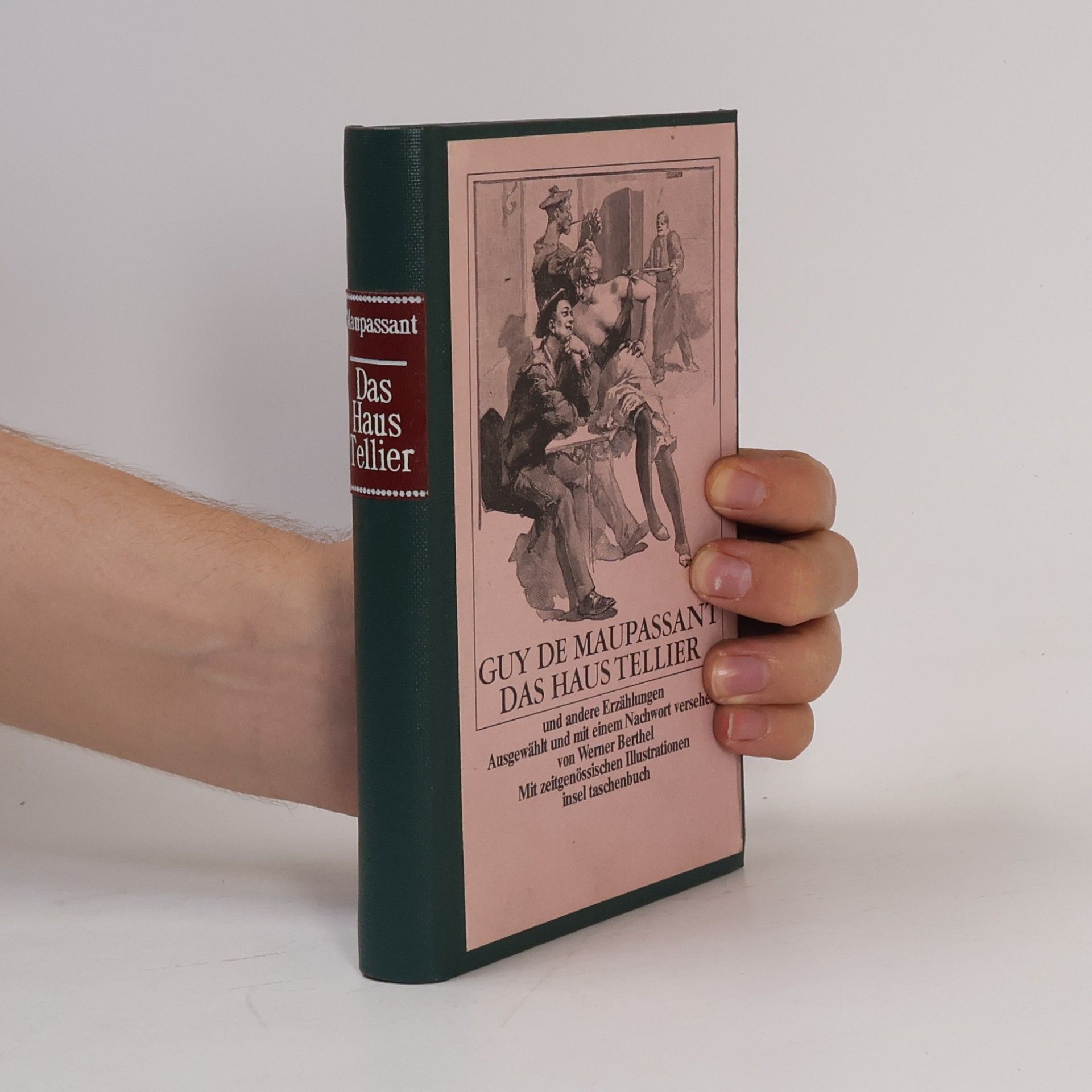 Werner Berthel Das Haus Tellier und andere Erzählungen - Ausgewählt und mit einem Nachwort versehen von Werner Berthel - Mit zeitgenössischen Illustrationen