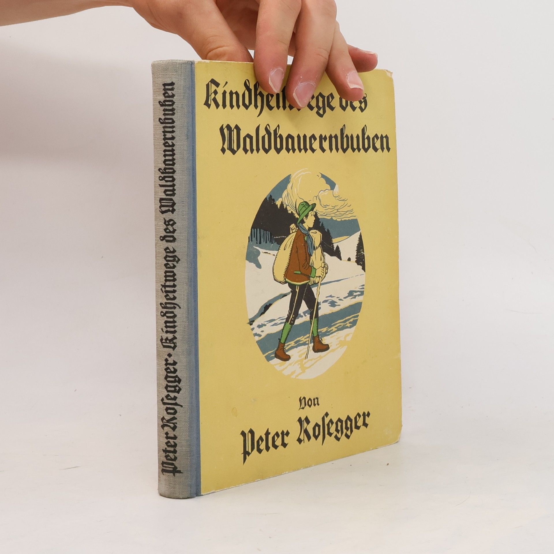 Peter Rosegger Die schönsten Geschichten von Peter Rosegger. Band 1