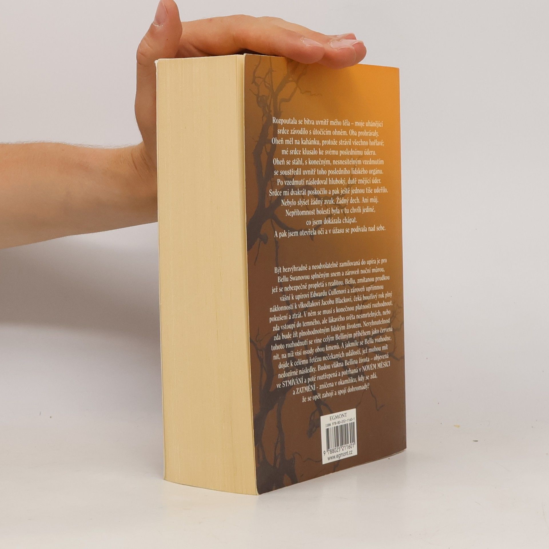 Stephenie Meyer Rozbřesk