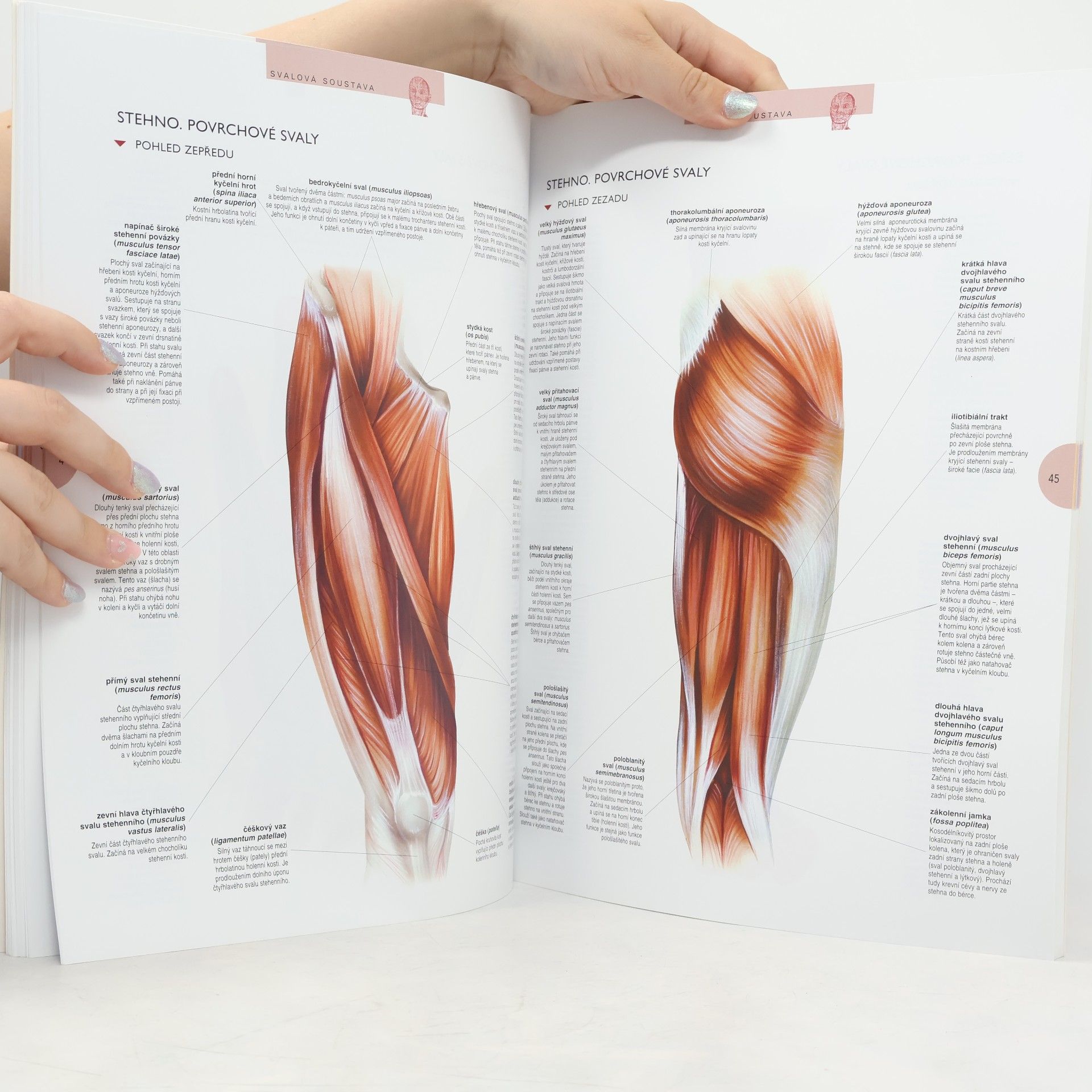 Kolektív autorov Atlas lidského těla