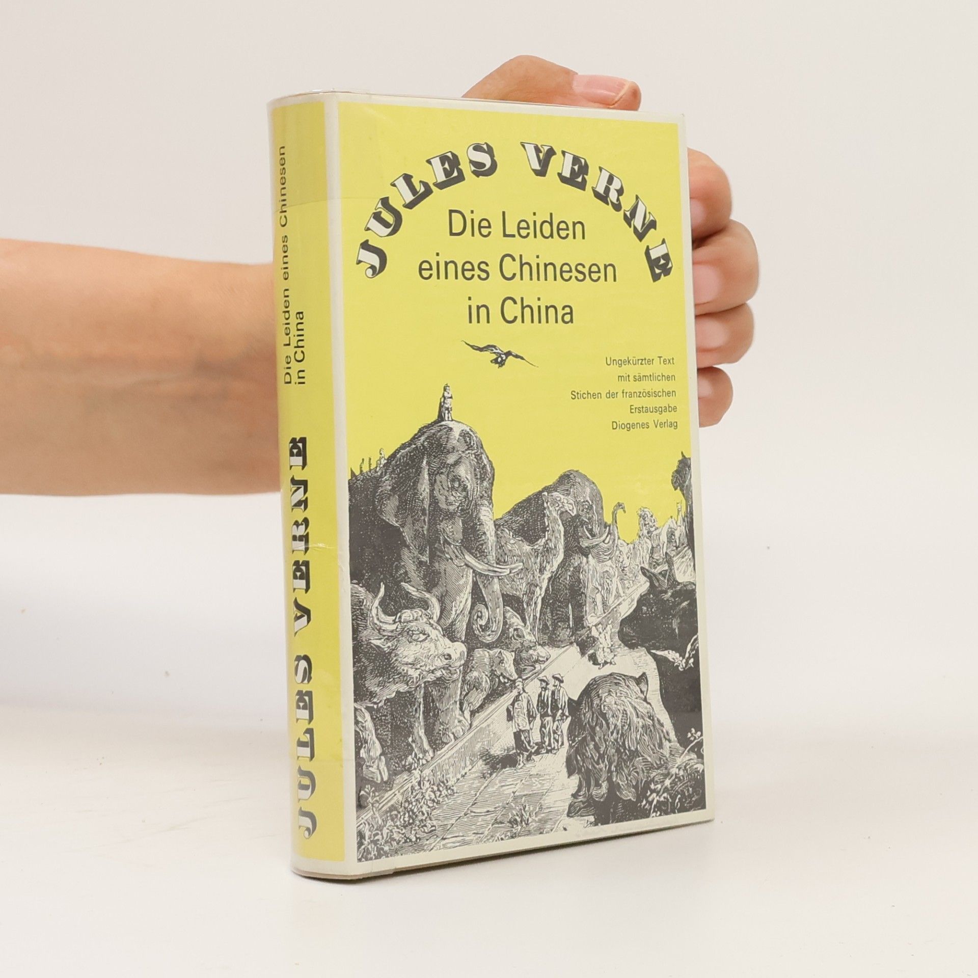 Jules Verne Die Leiden eines Chinesen in China