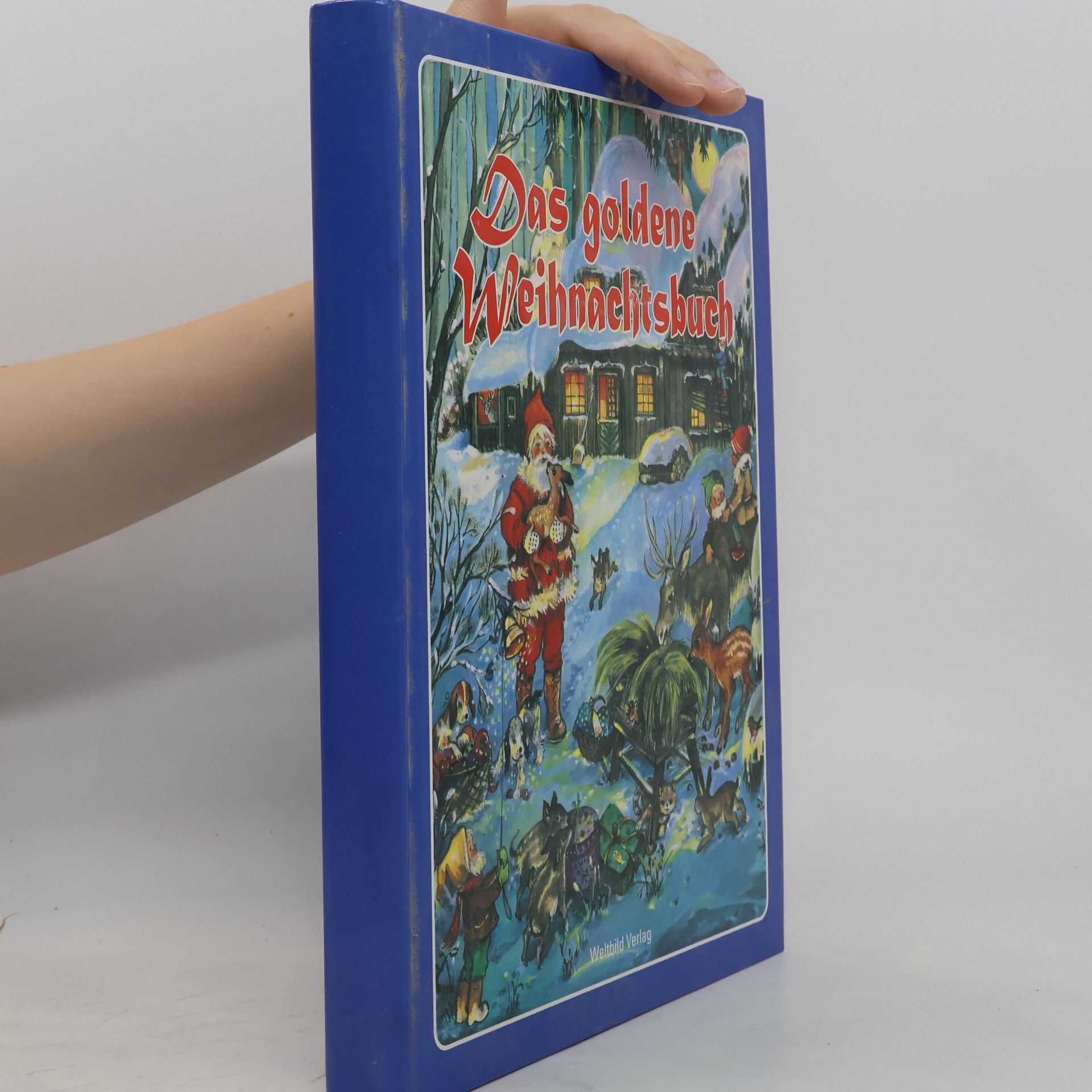 Autorenkollektiv Das goldene Weihnachtsbuch
