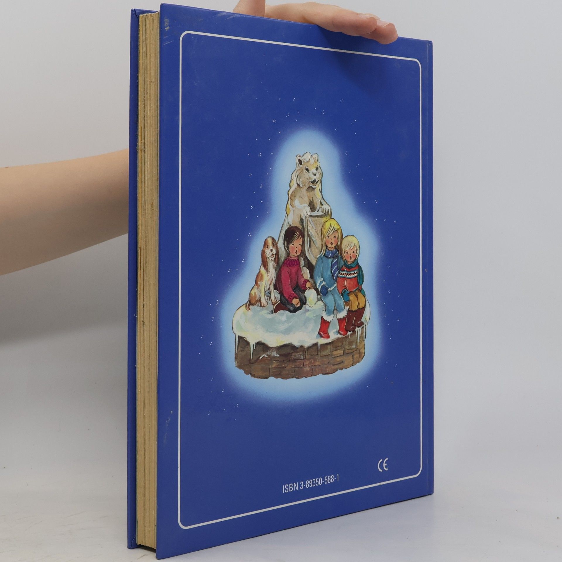 Das goldene Weihnachtsbuch