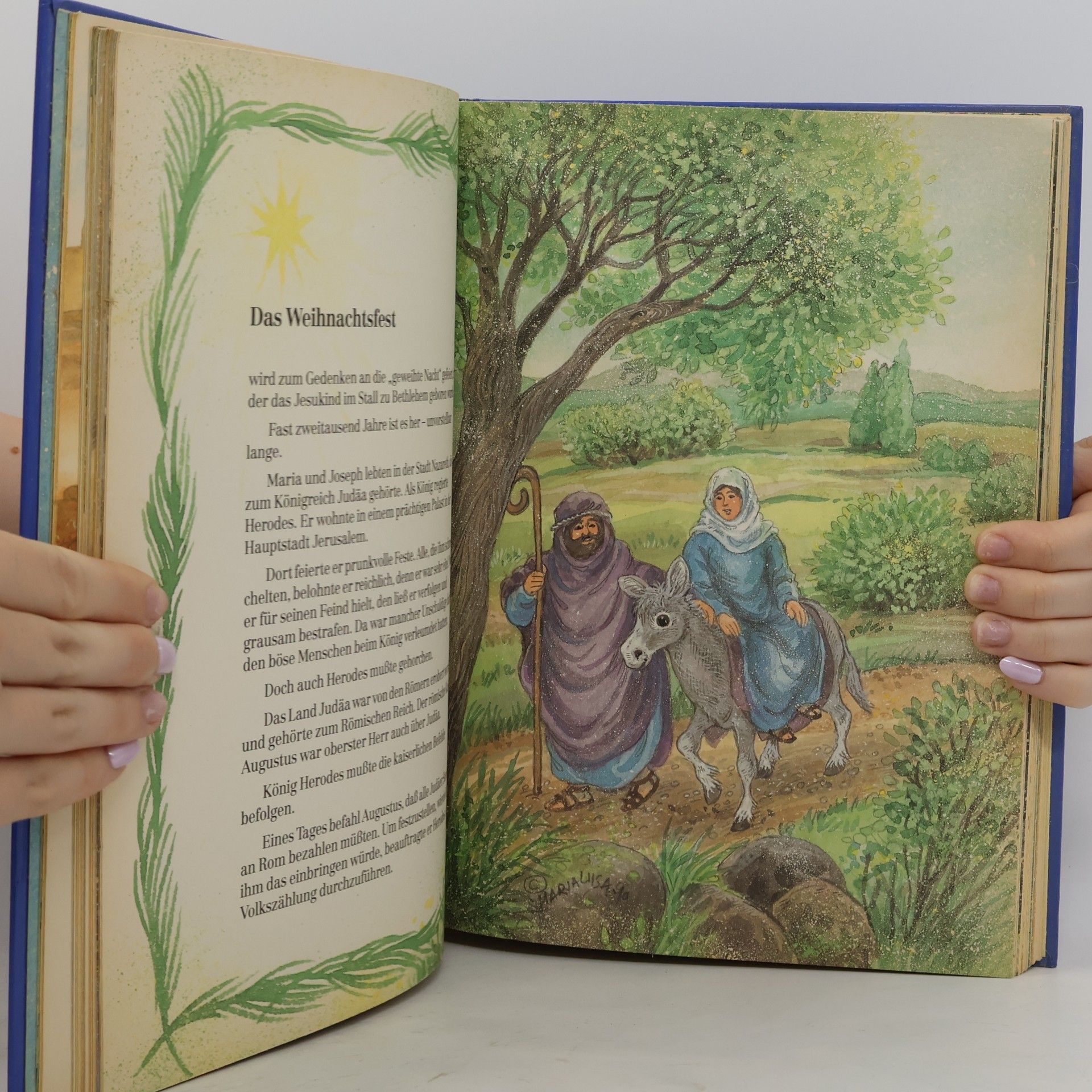 Das goldene Weihnachtsbuch