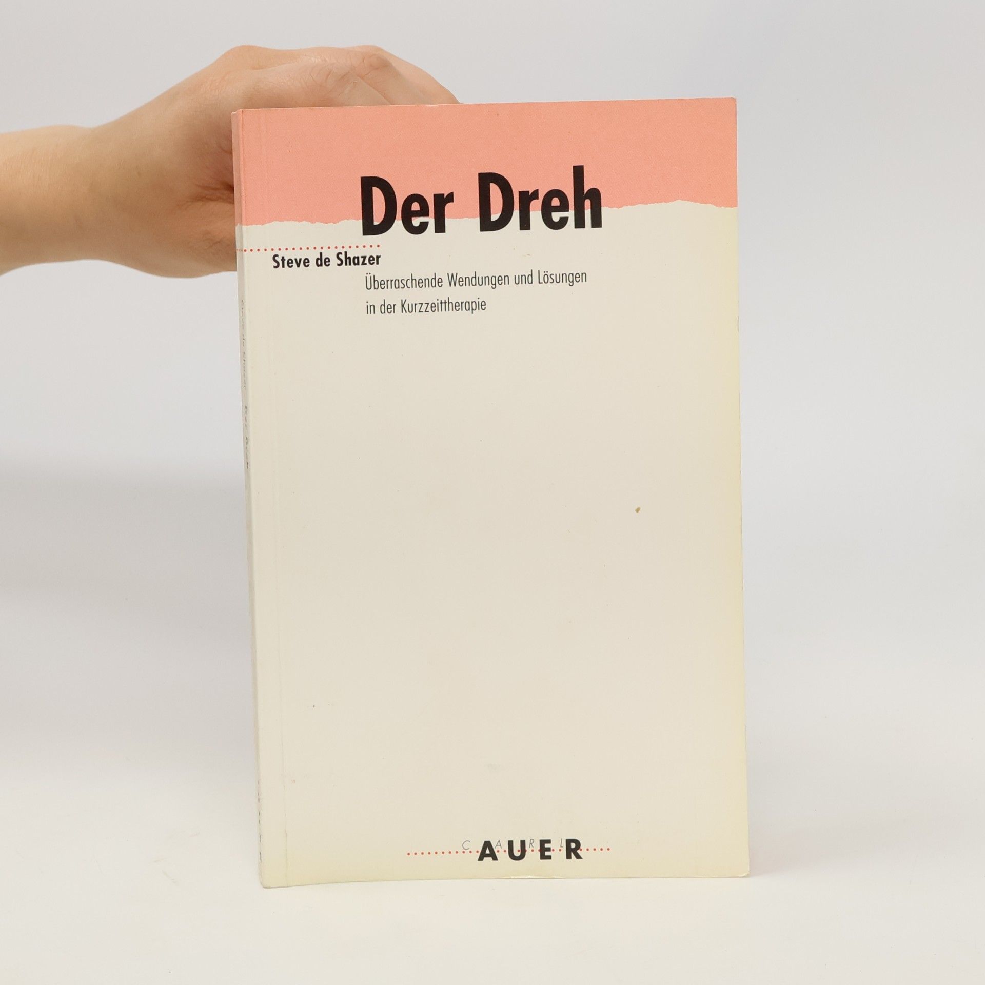 Steve De Shazer Der Dreh