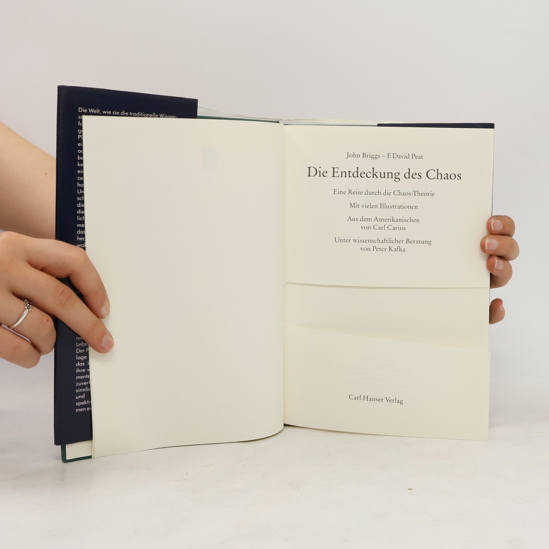 Francis David Peat Die Entdeckung des Chaos
