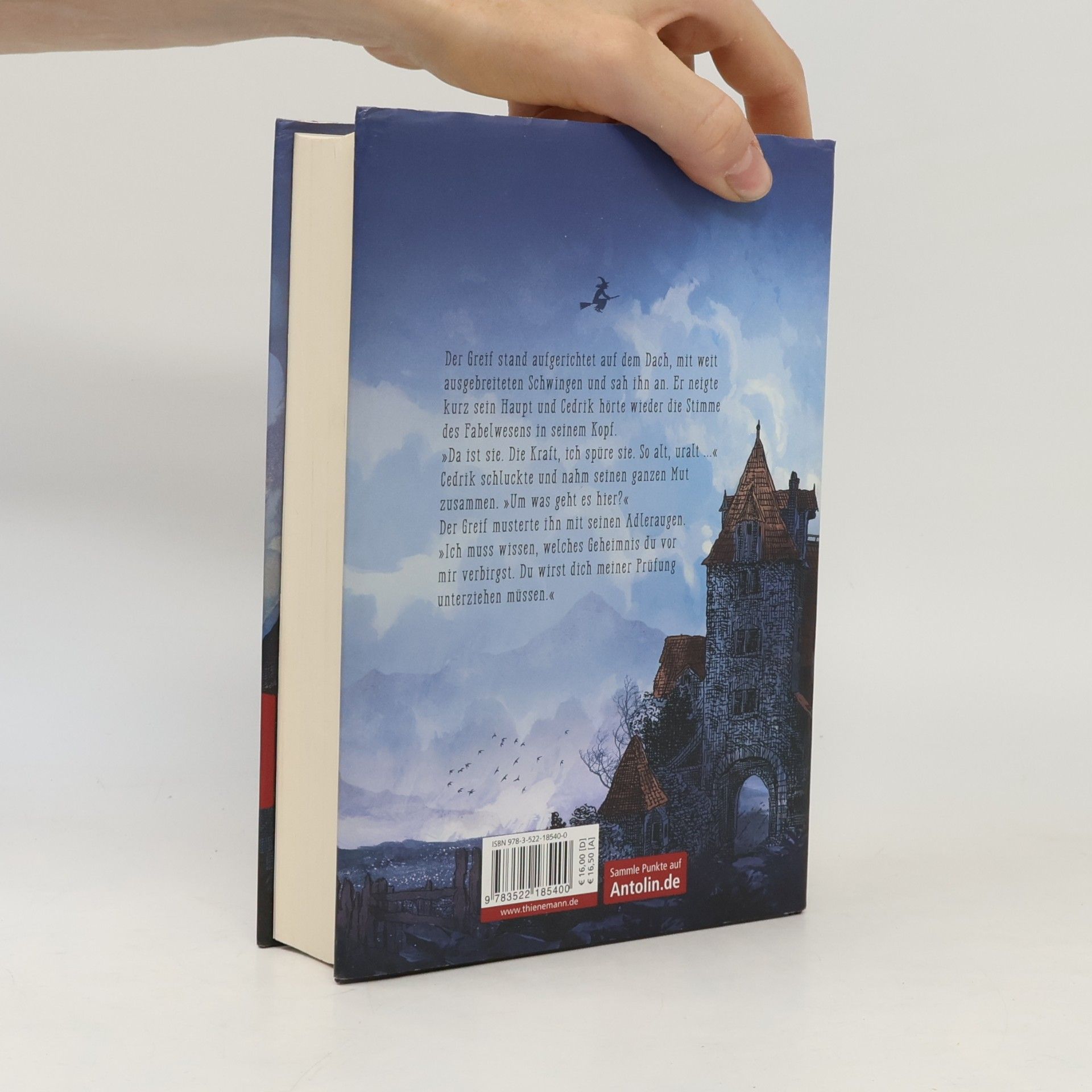 Benedict Mirow Die Chroniken von Mistle End 1: Der Greif erwacht