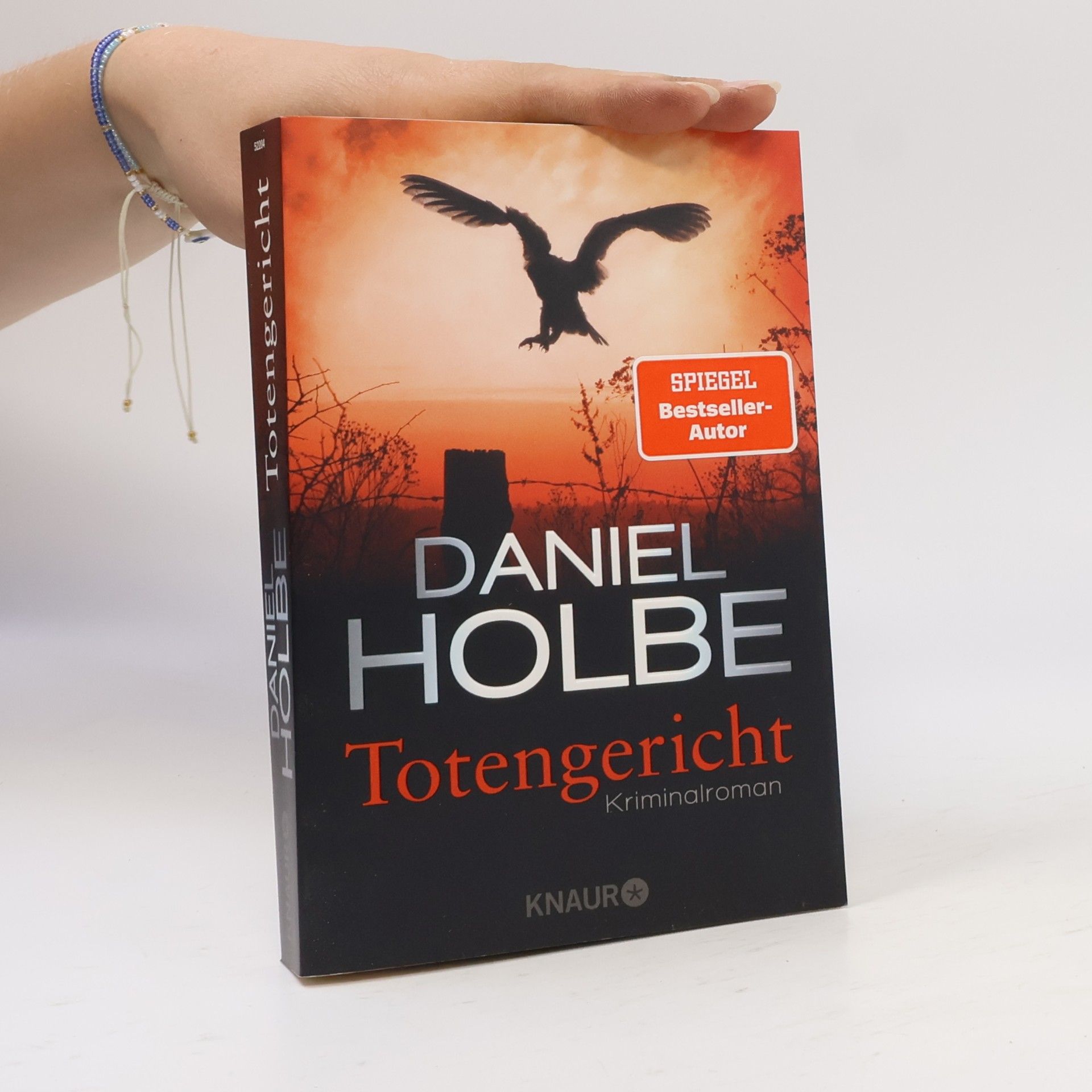 Daniel Holbe Totengericht