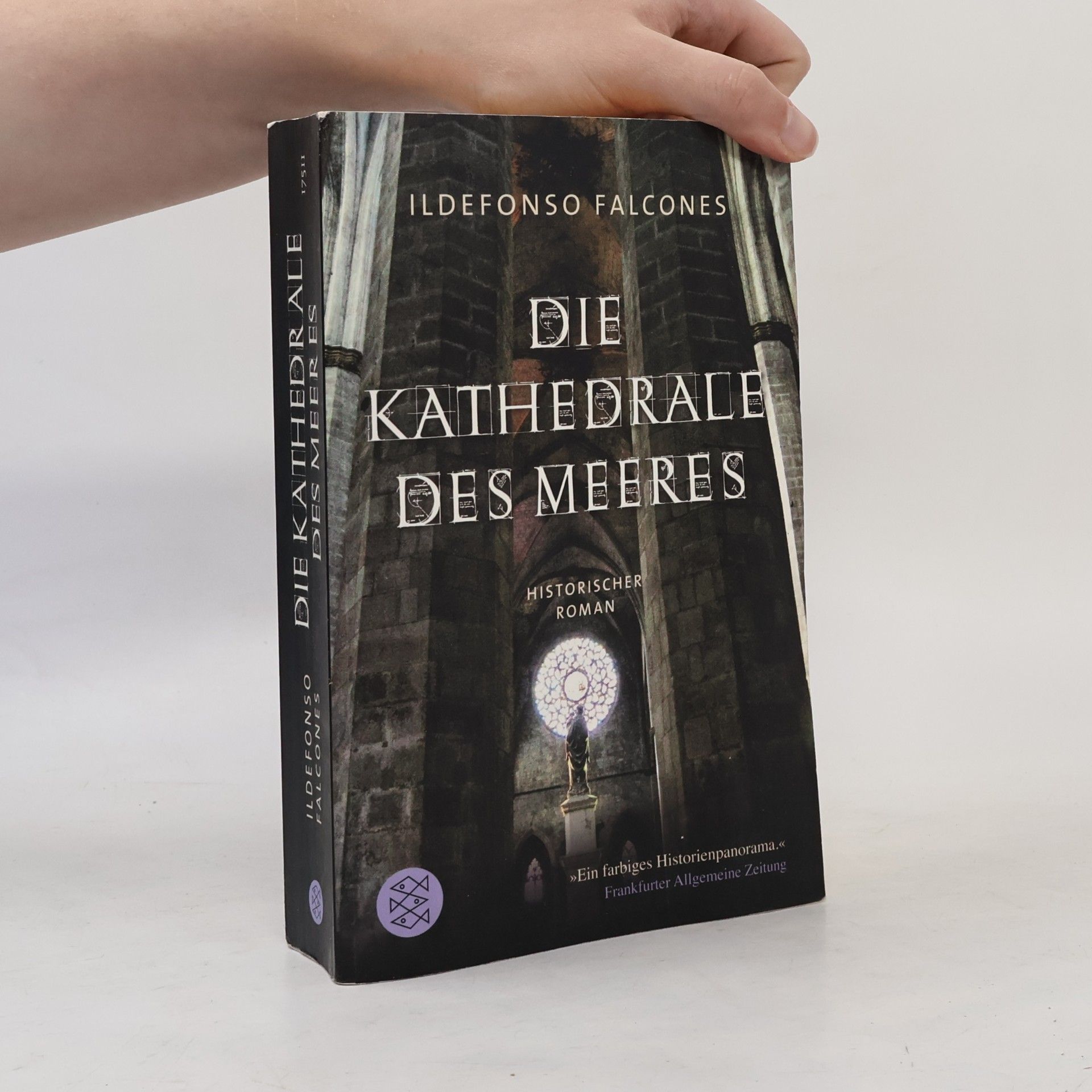Ildefonso Falcones Die Kathedrale des Meeres