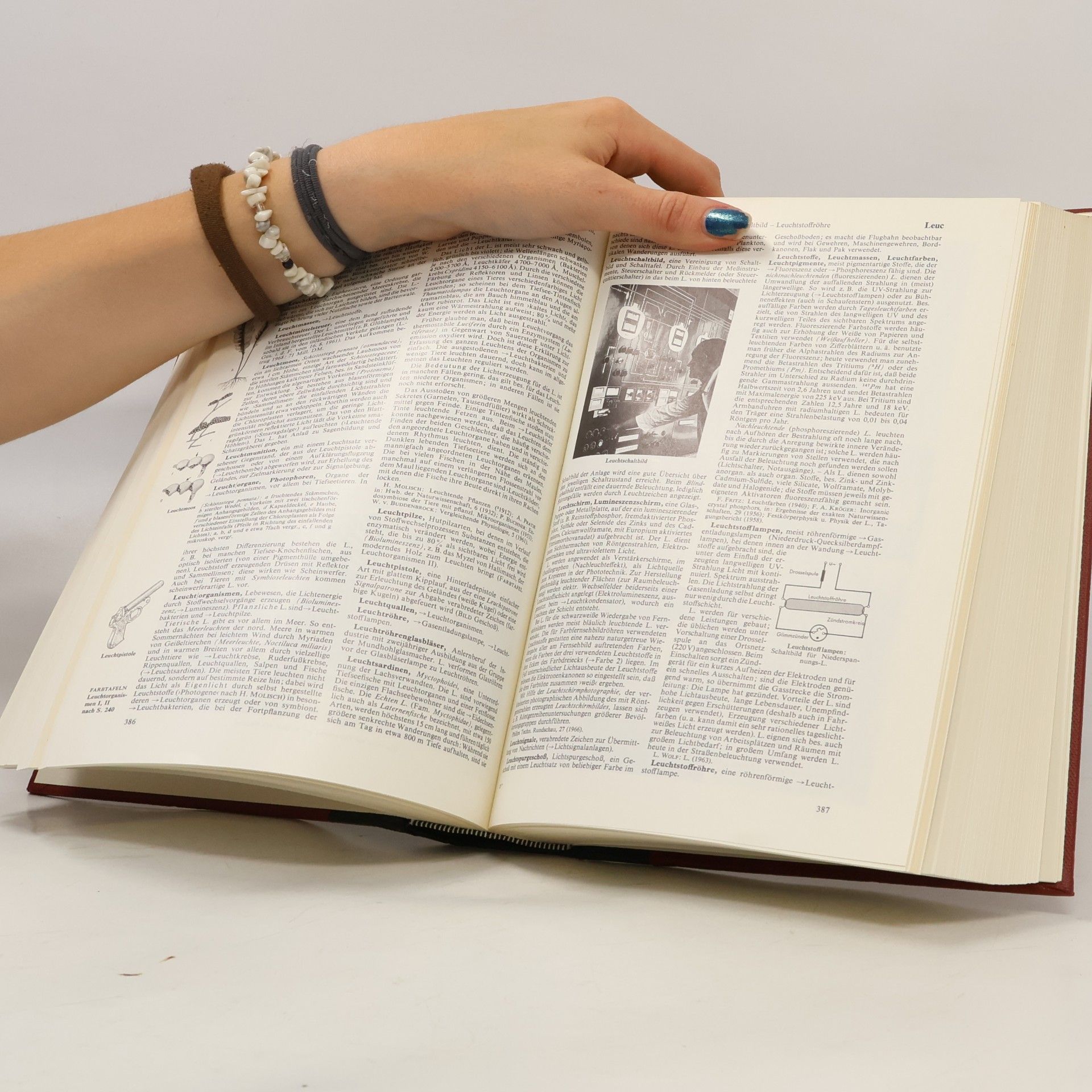 Autorenkollektiv Brockhaus Enzyklopädie 11