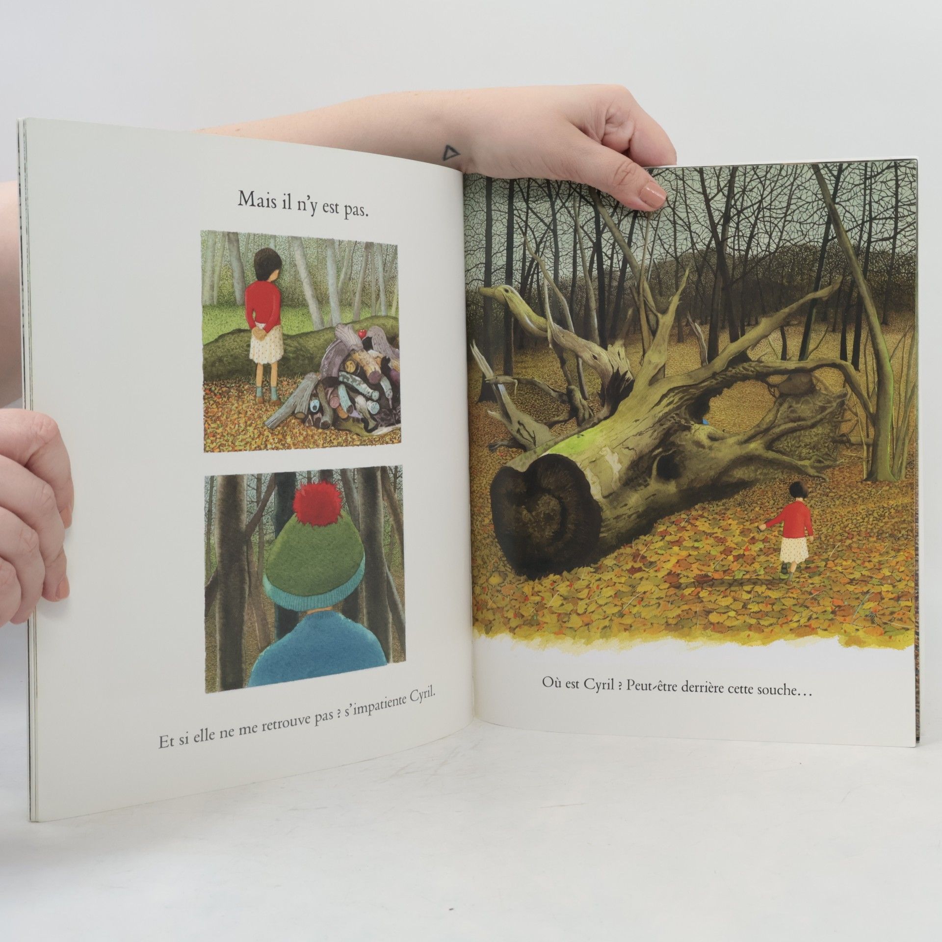 Anthony Browne Retrouve-moi !