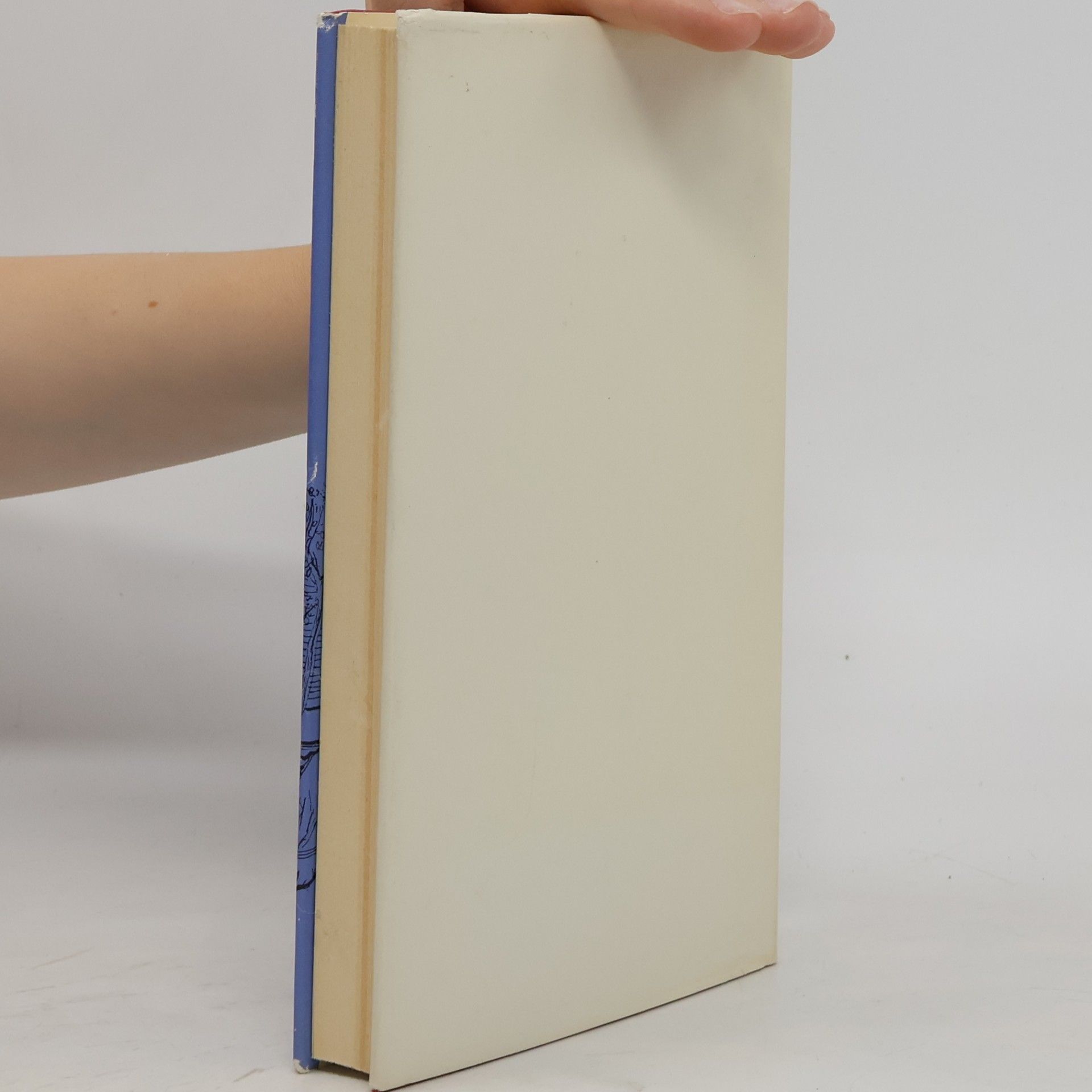 Melissa Mather Harriets weisser Sommer