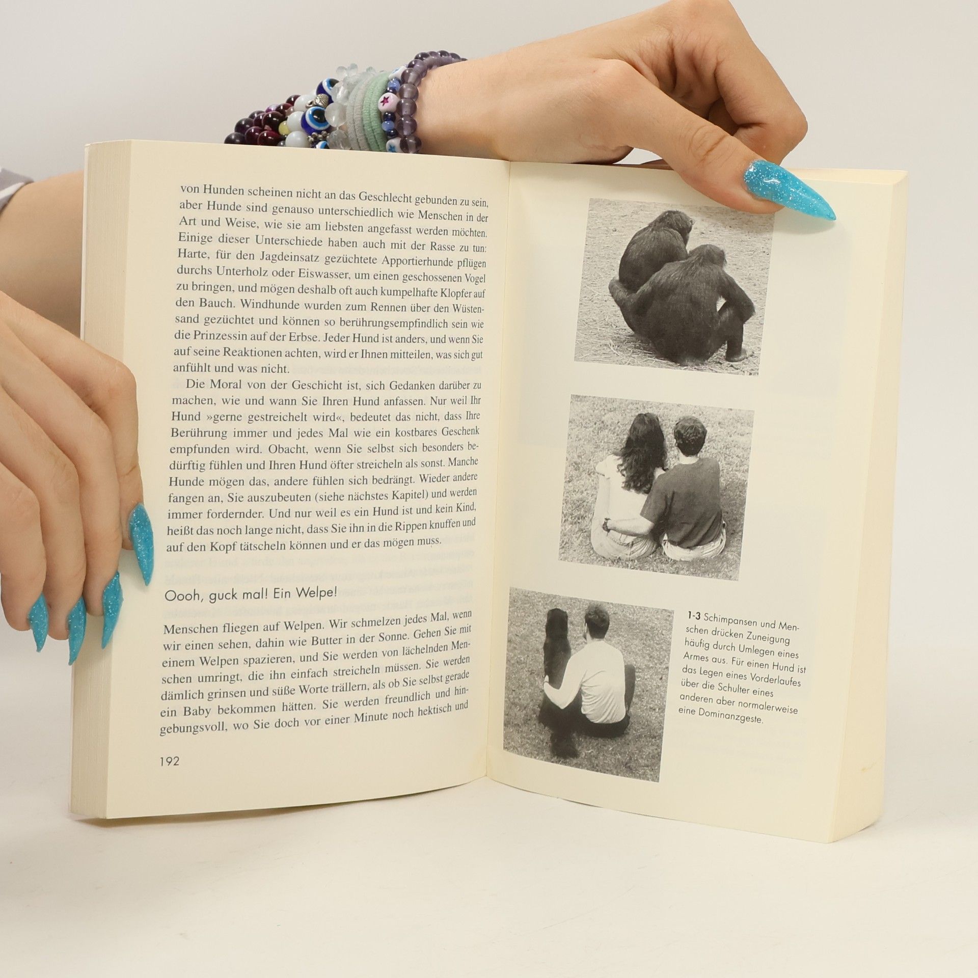 Patricia McConnel Das andere Ende der Leine