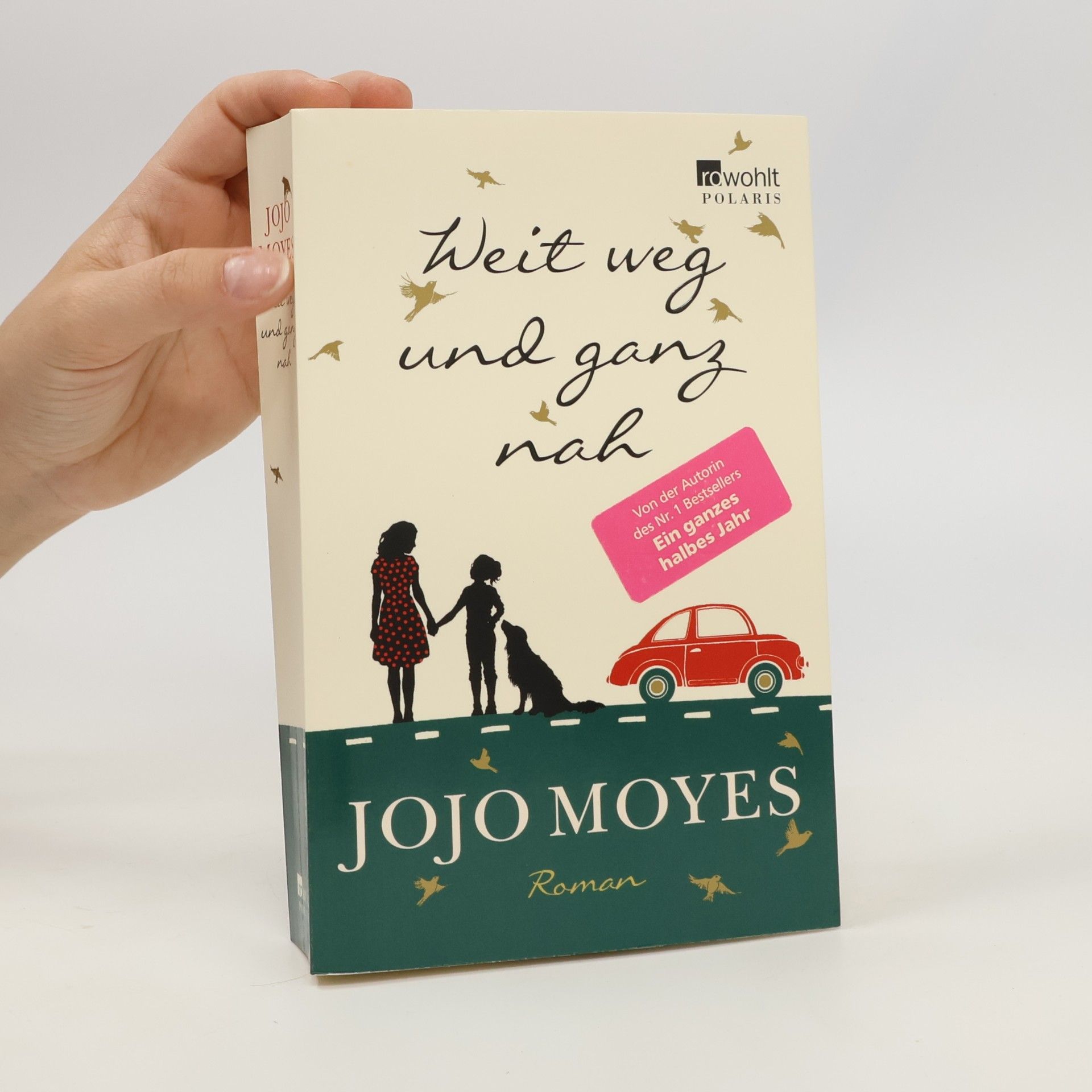 Jojo Moyes Weit weg und ganz nah