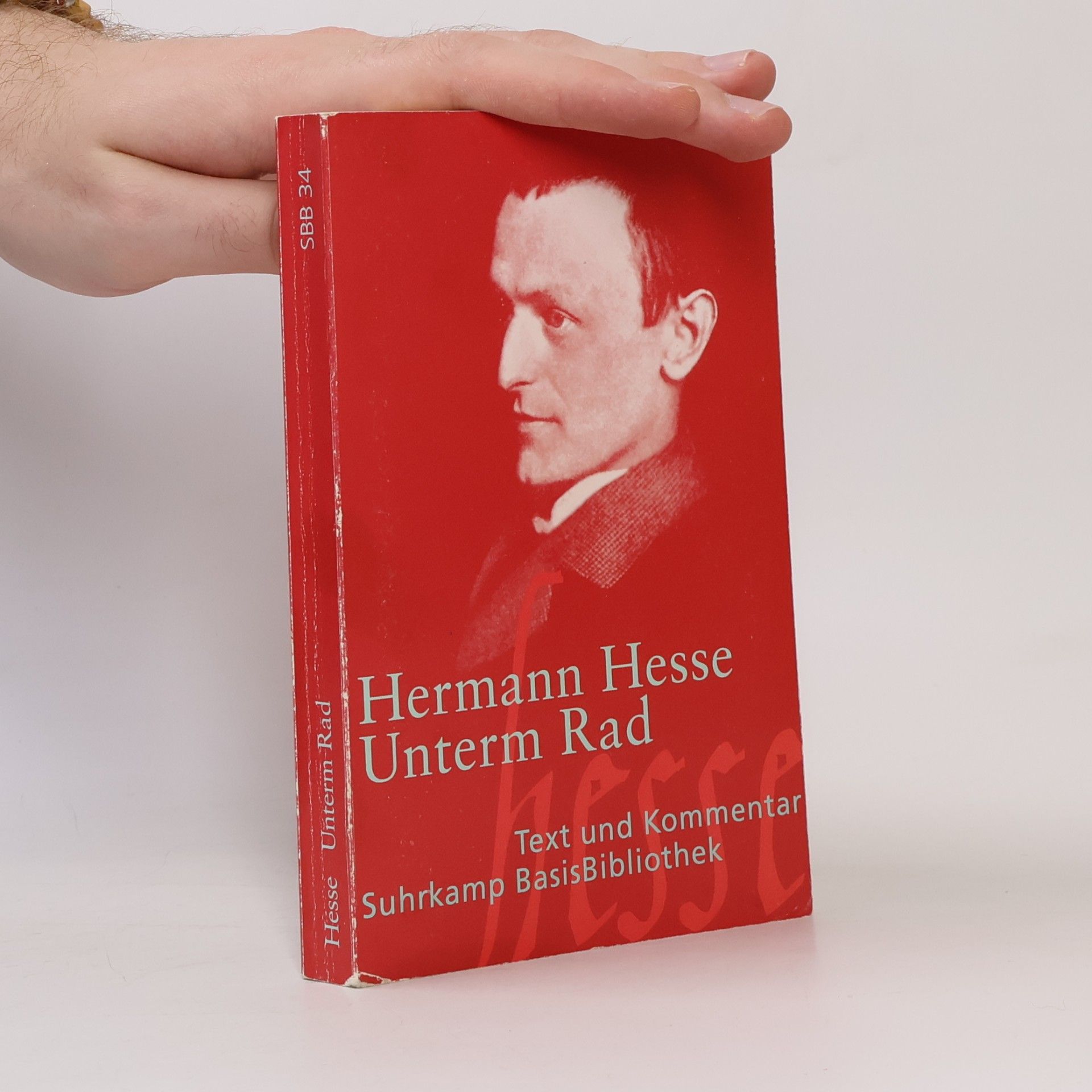 Hermann Hesse Unterm Rad