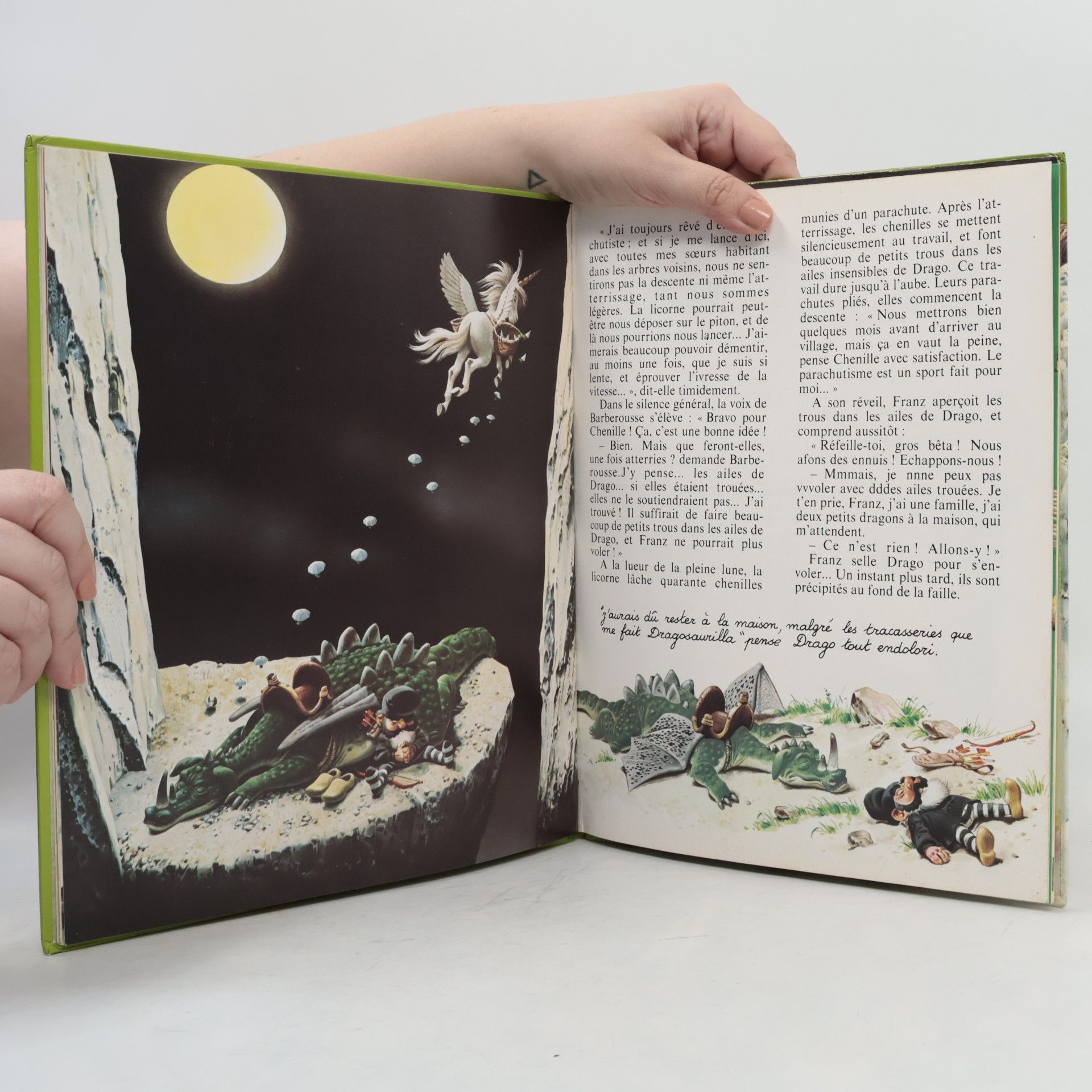 Tony Wolf Les Dragons 6