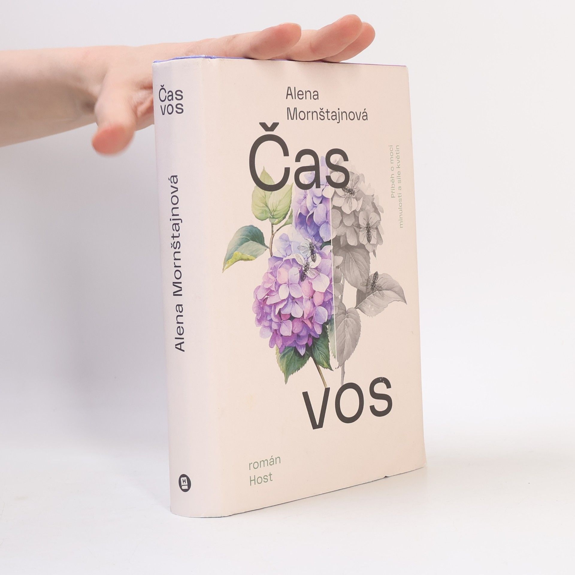 Alena Mornštajnová Čas vos