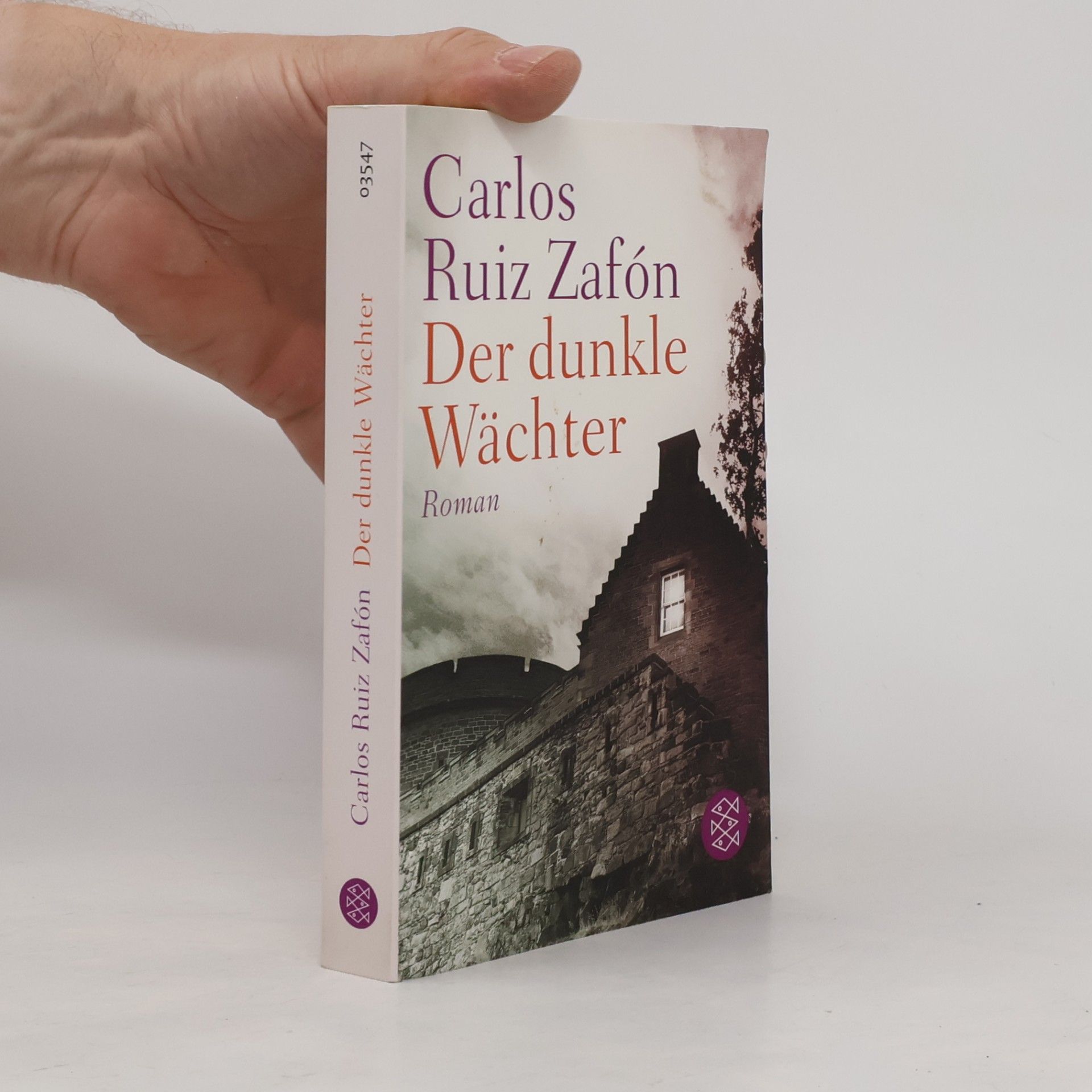 Carlos Ruiz Safon Der dunkle Wächter