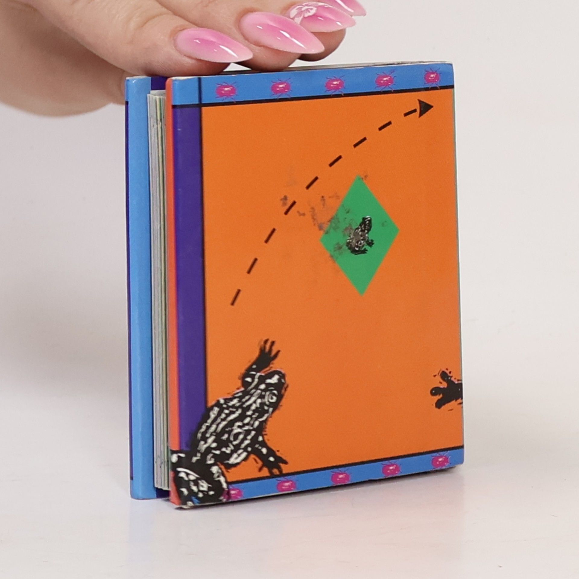 Collectif d'auteurs The Little Book of Nature Games