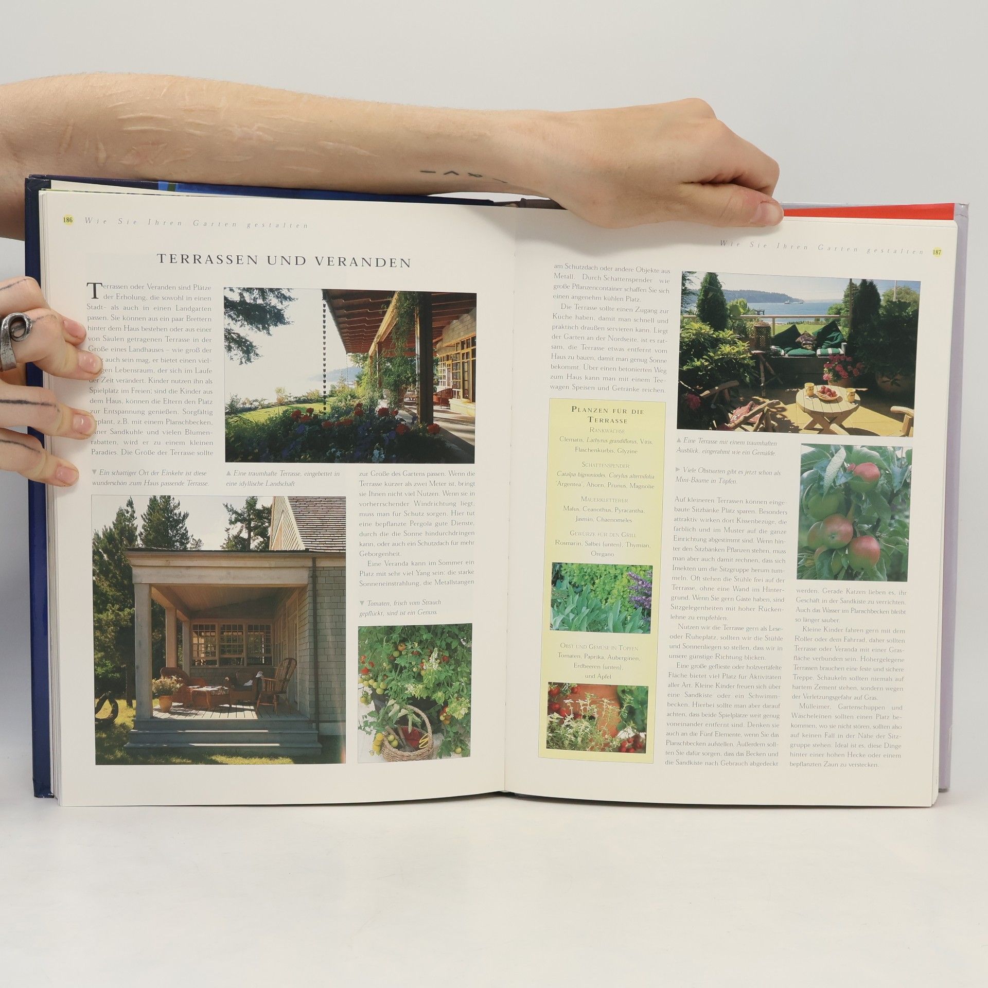 Gill Hale Feng Shui - Die praktische Enzyclopädie modernen Lebens