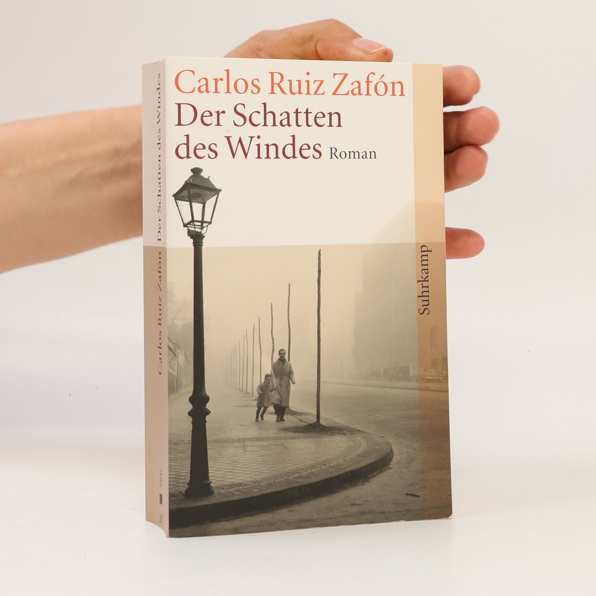Carlos Ruiz Zafón Der Schatten des Windes