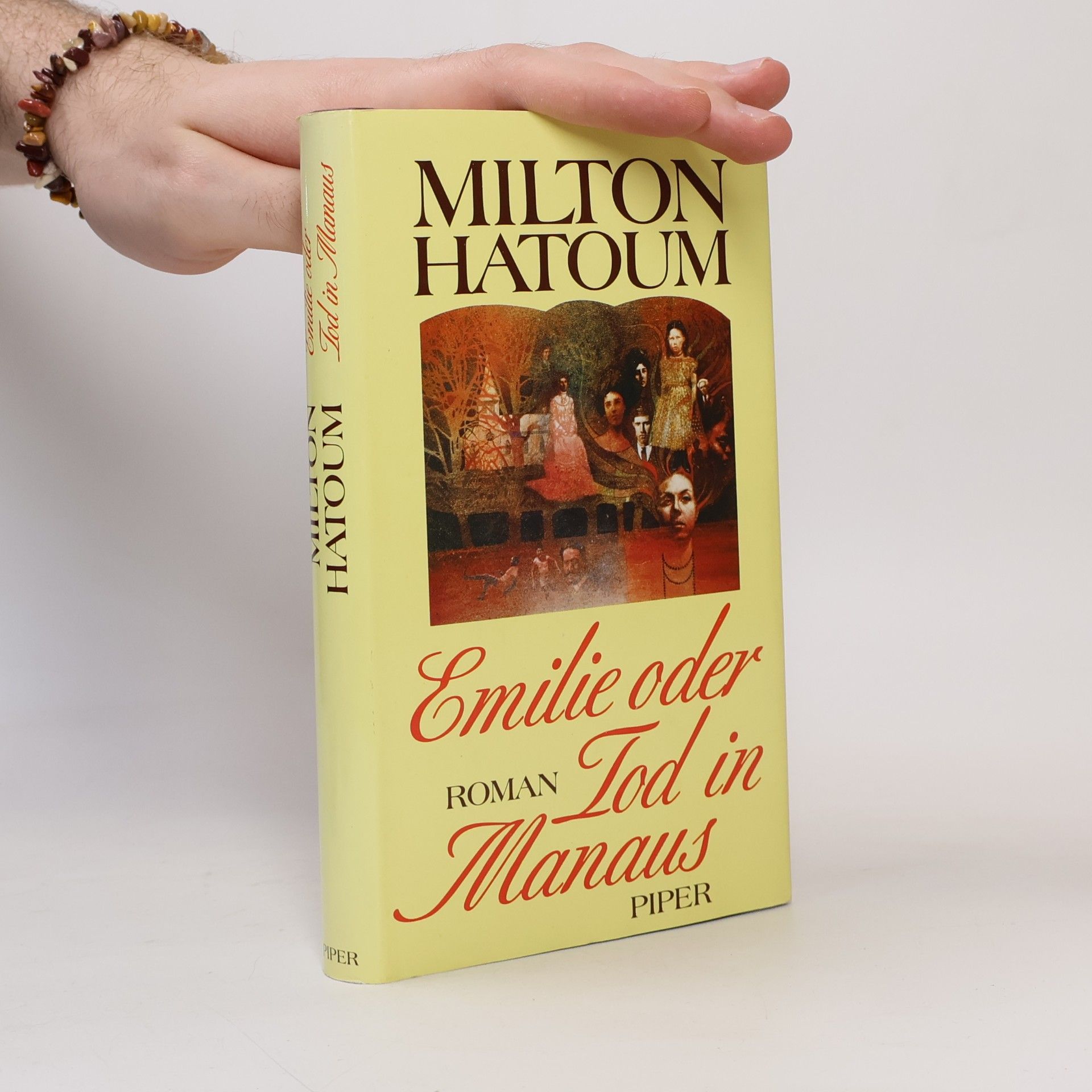 Milton Hatoum Emilie oder Tod in Manaus