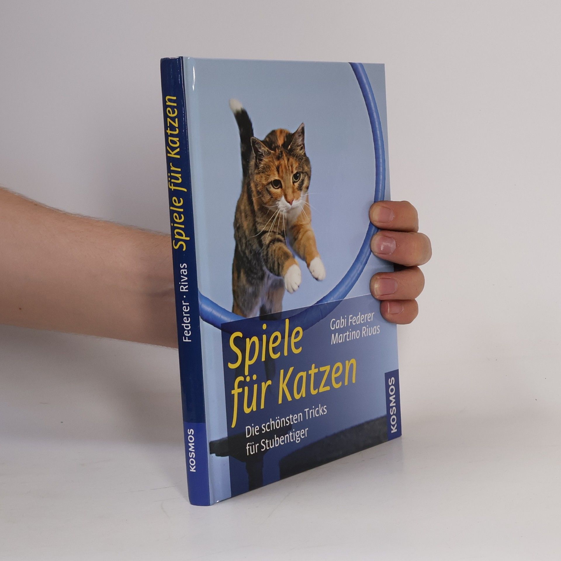 Gabi Federer Spiele für Katzen