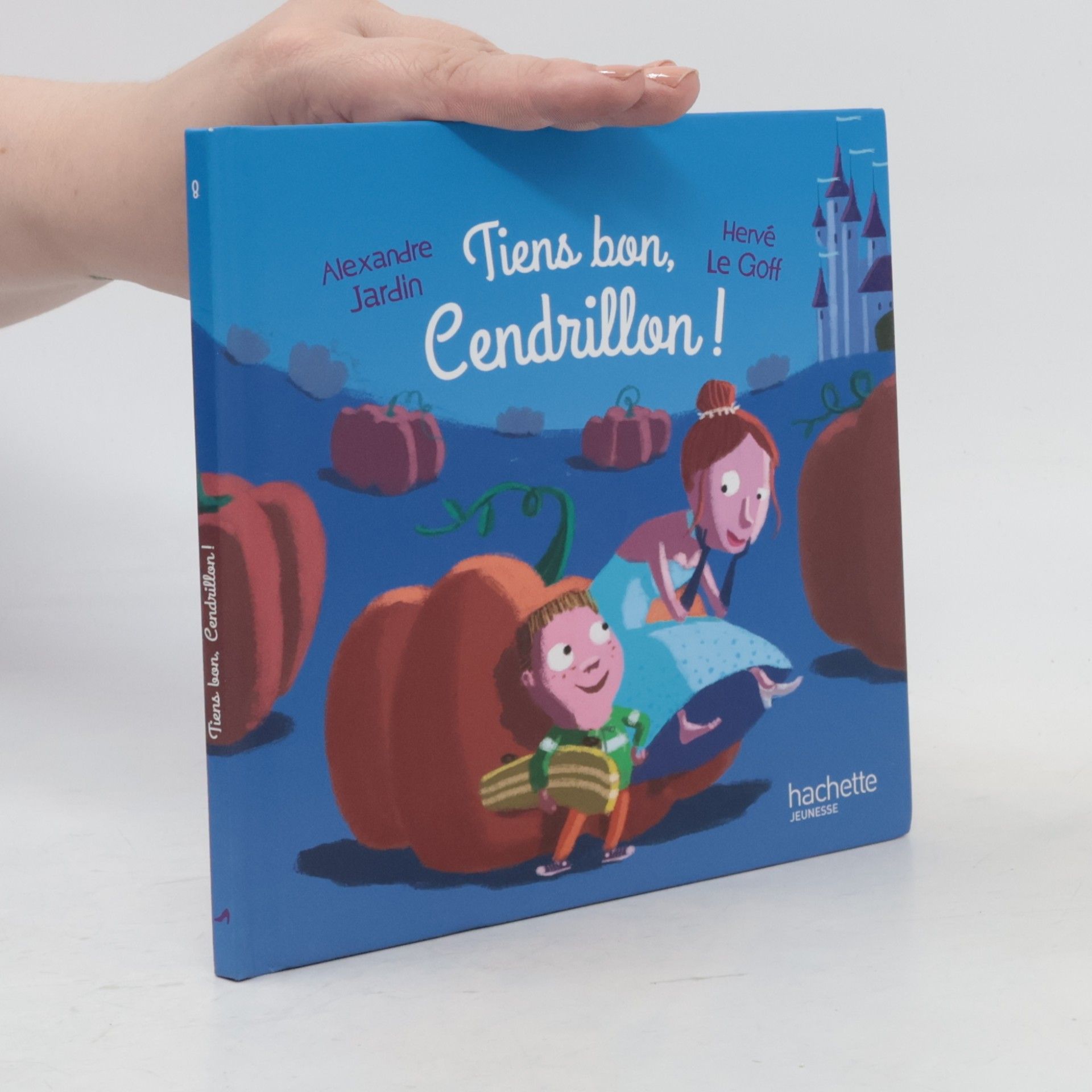 Hervé Le Goff Tiens bon, Cendrillon !