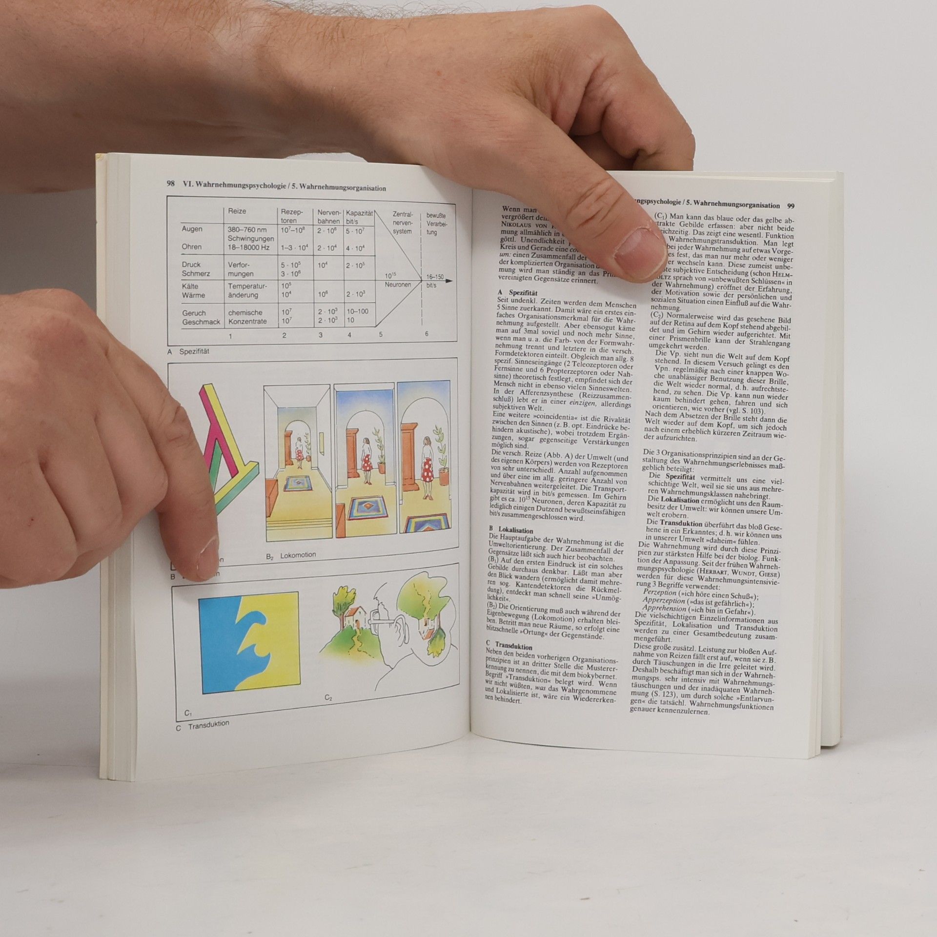 Hellmuth Benesch dtv-Atlas zur Psychologie