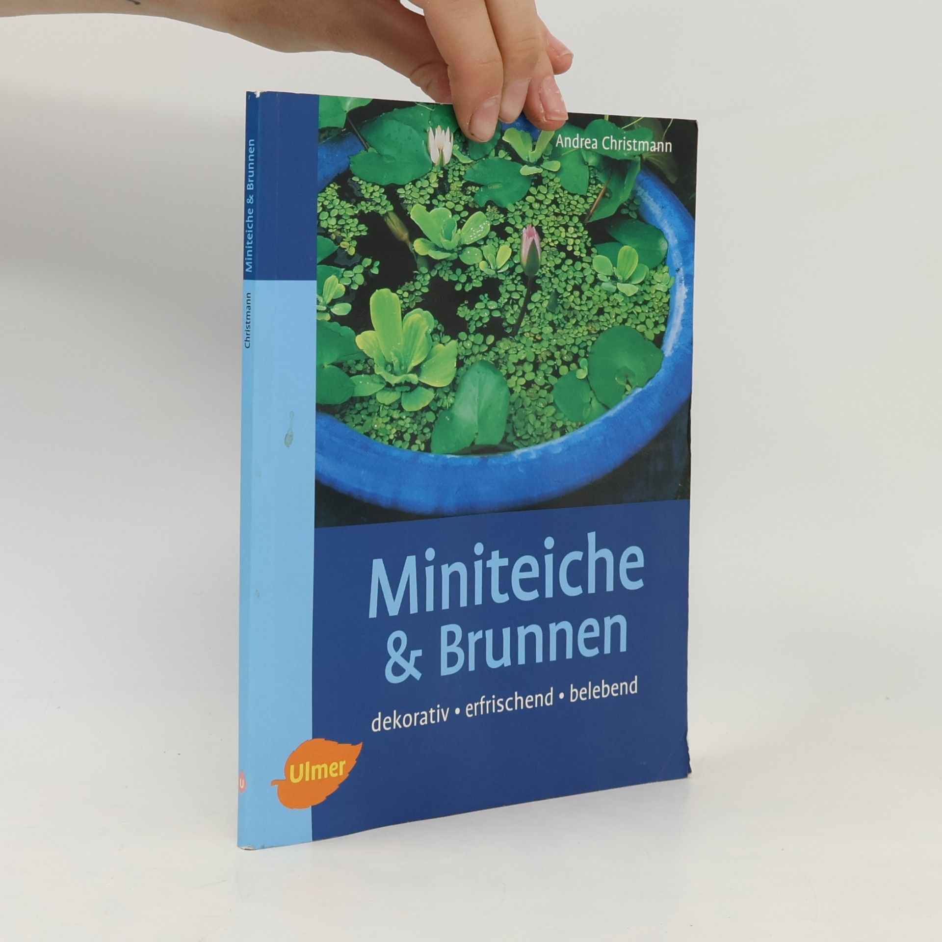 Andrea Christmann Miniteiche und Brunnen