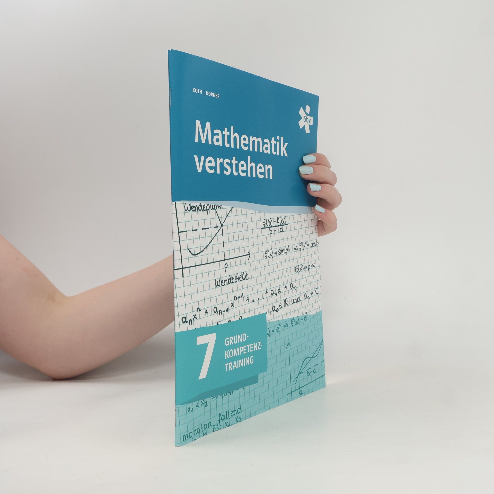 Mathematik verstehen
